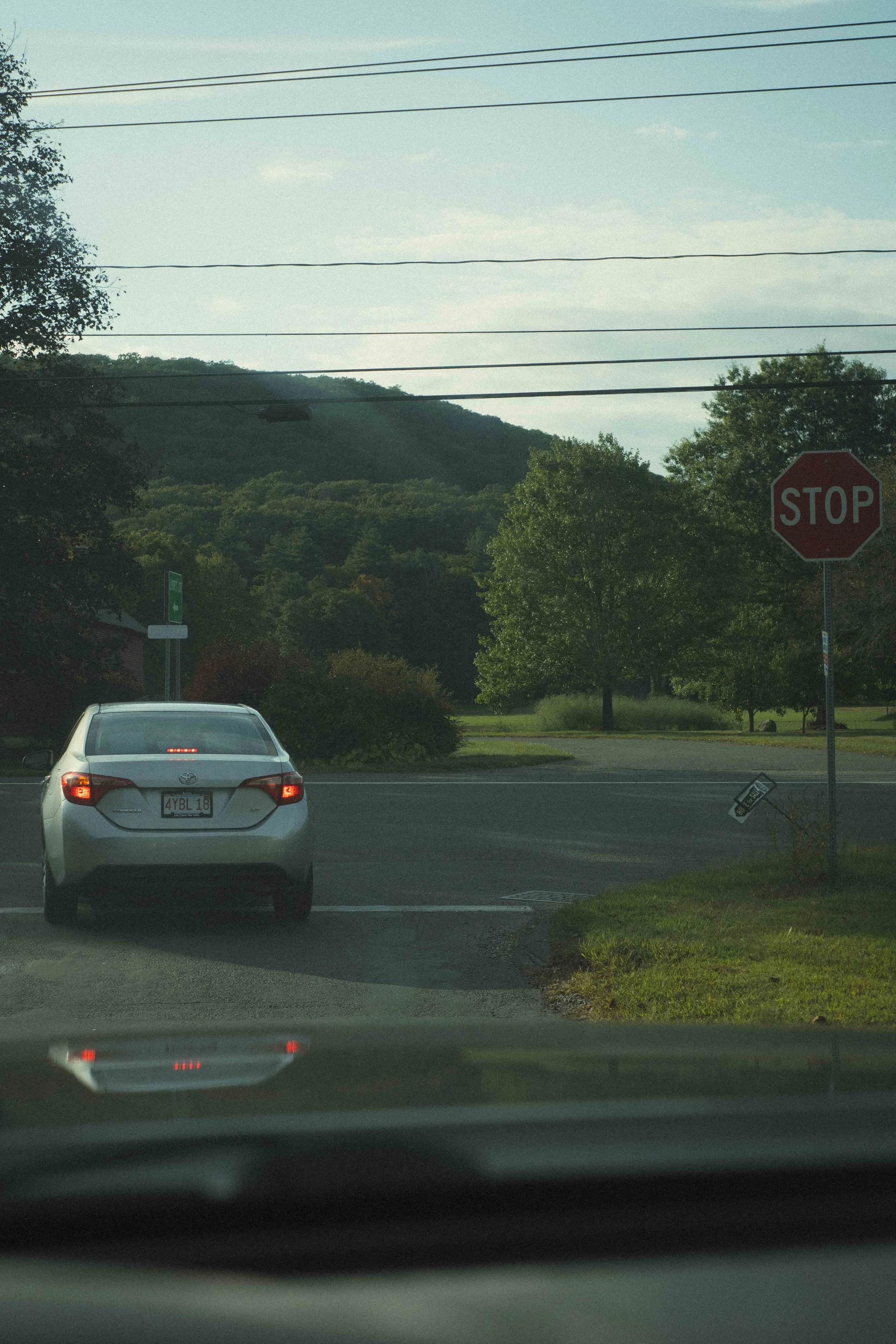 A7408661.jpg