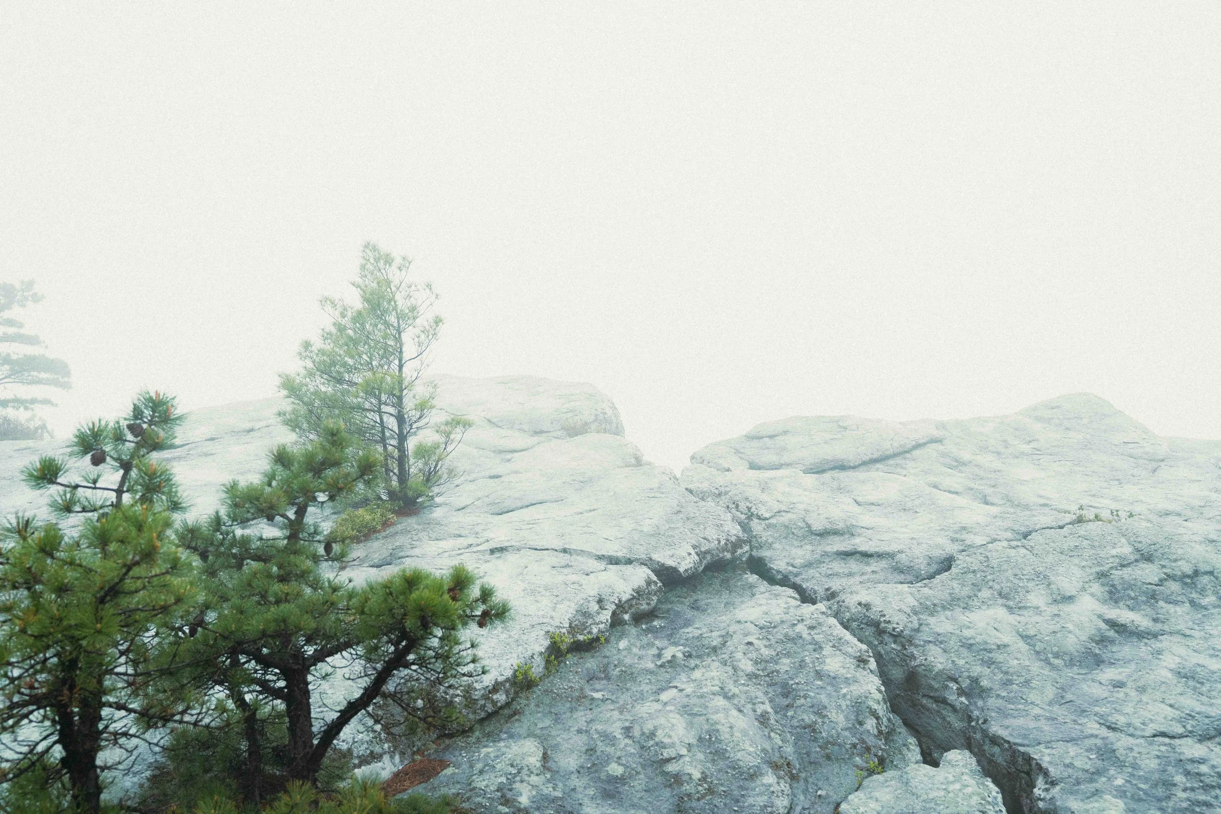 Outsiders Gertrudes Nose (25).jpg