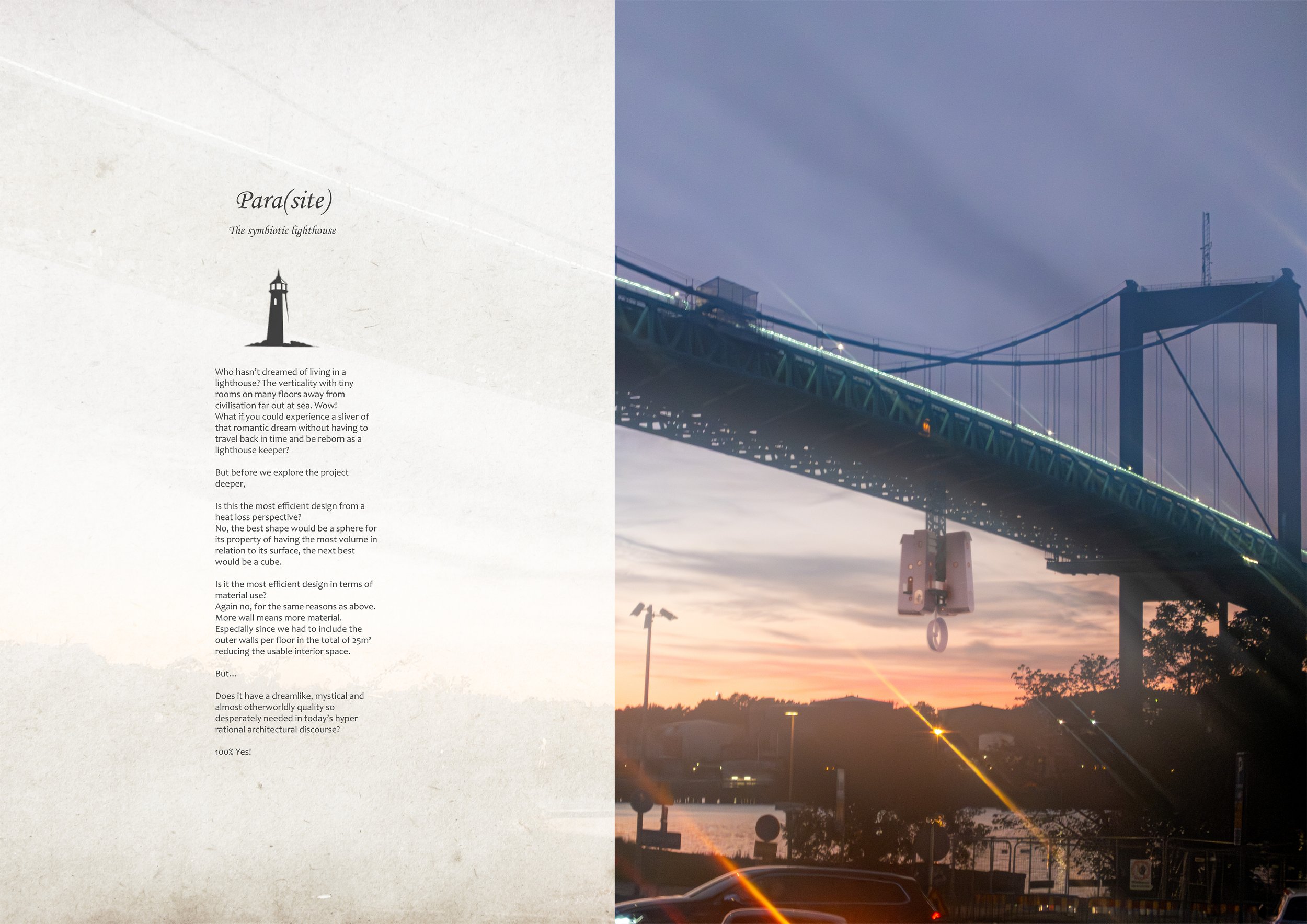 Parasite liten 1.jpg