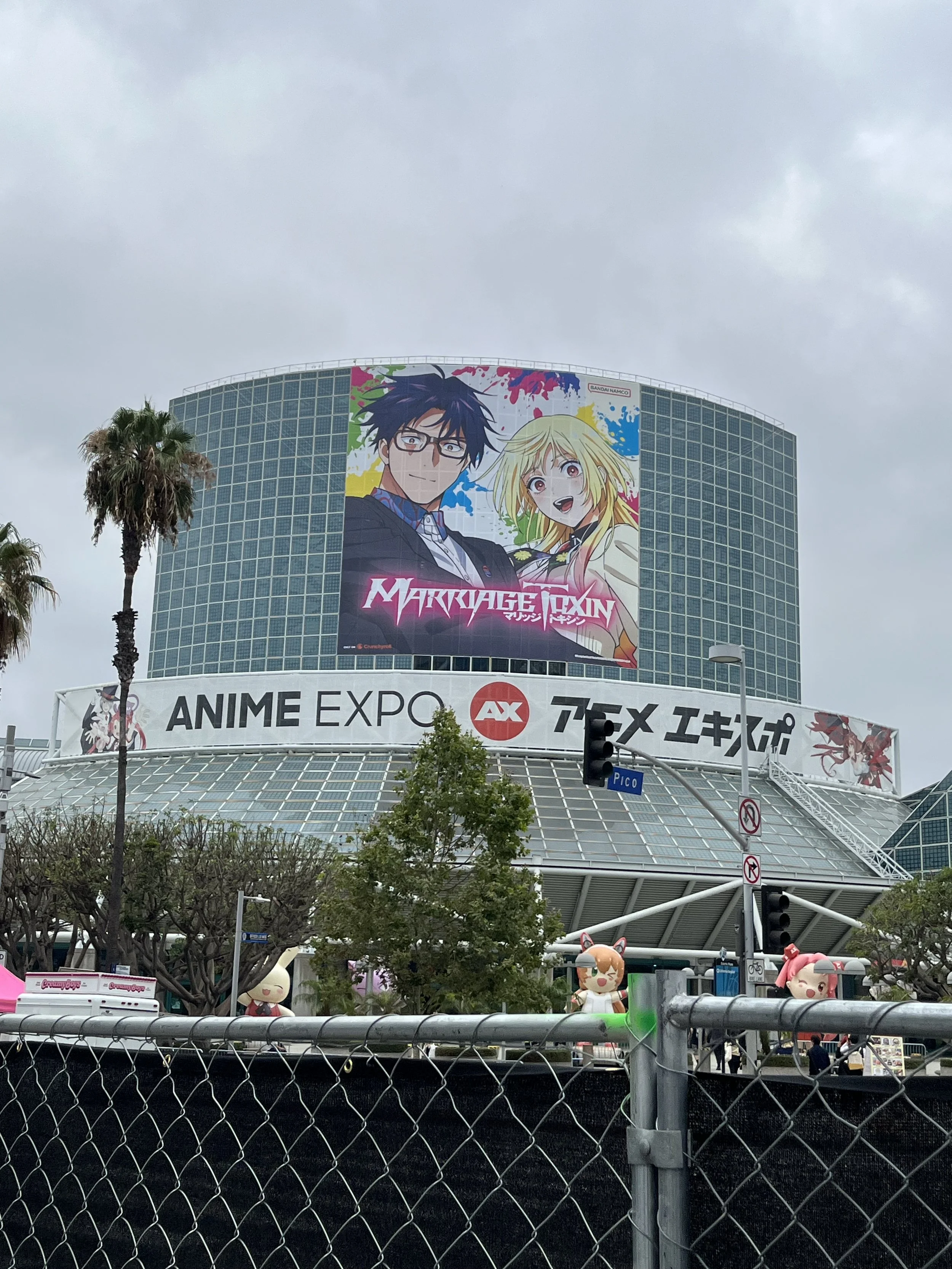 IMG_5663.jpeg