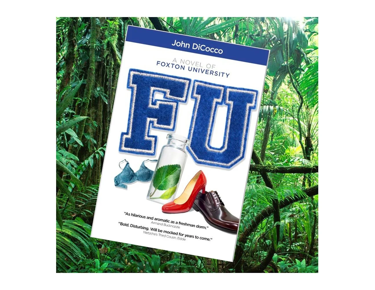 Book Talk with John DiCocco