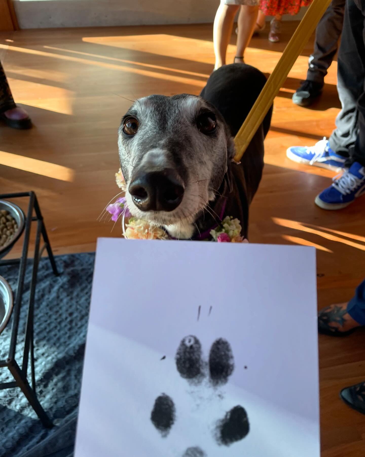 This is now a Rosie stan account. Rosie signed off on the marriage, just like her two humans.