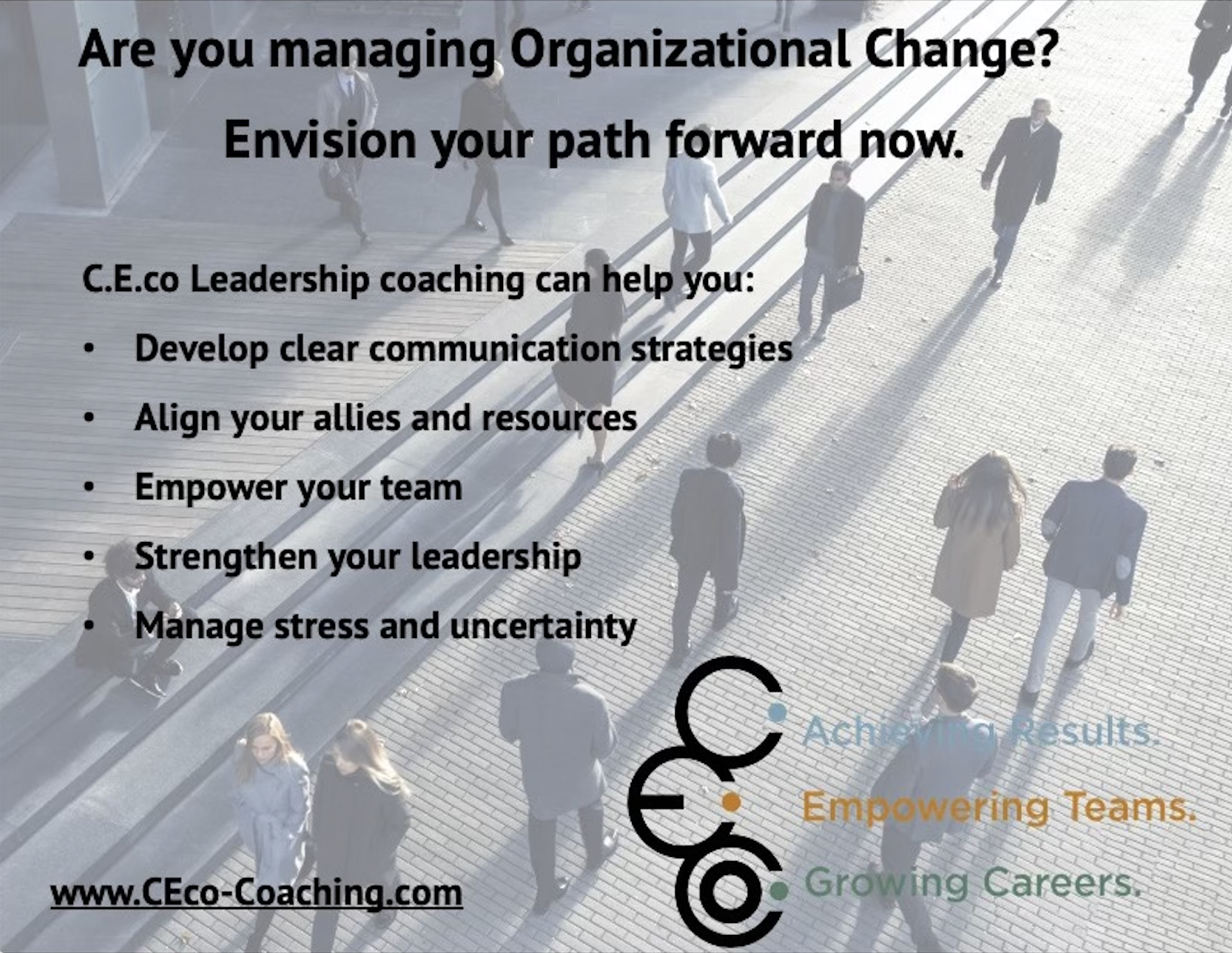 Organizational Change