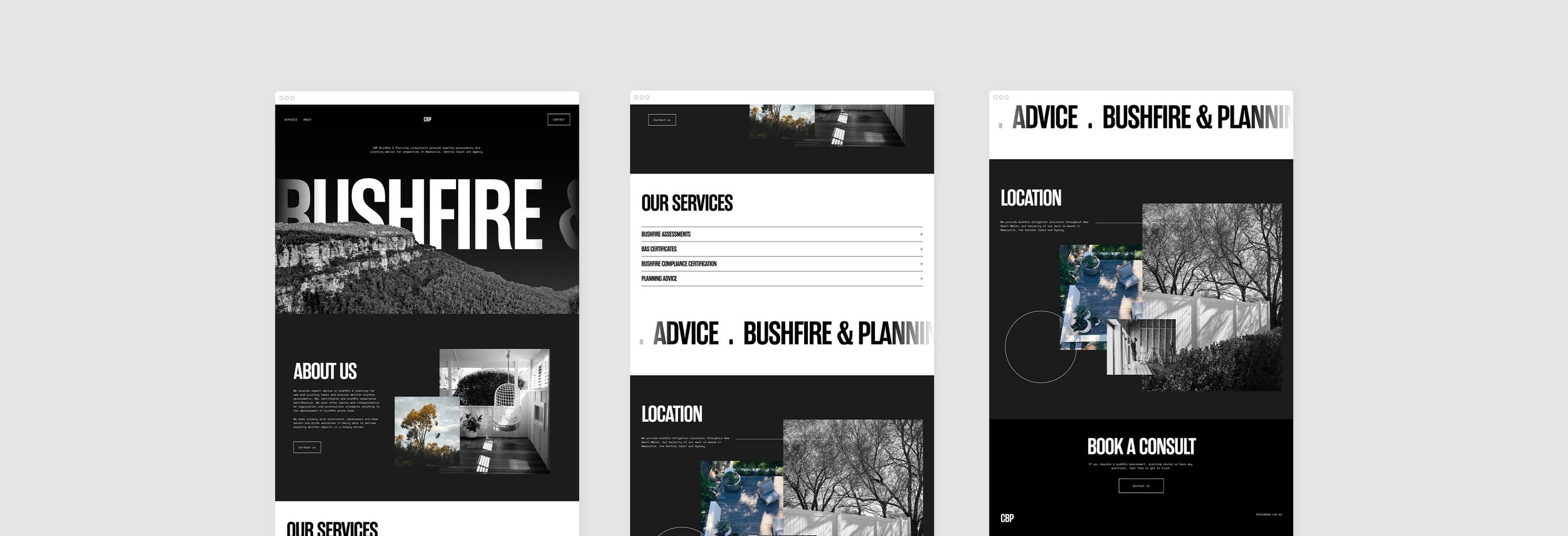 Mockup screens of CBP website