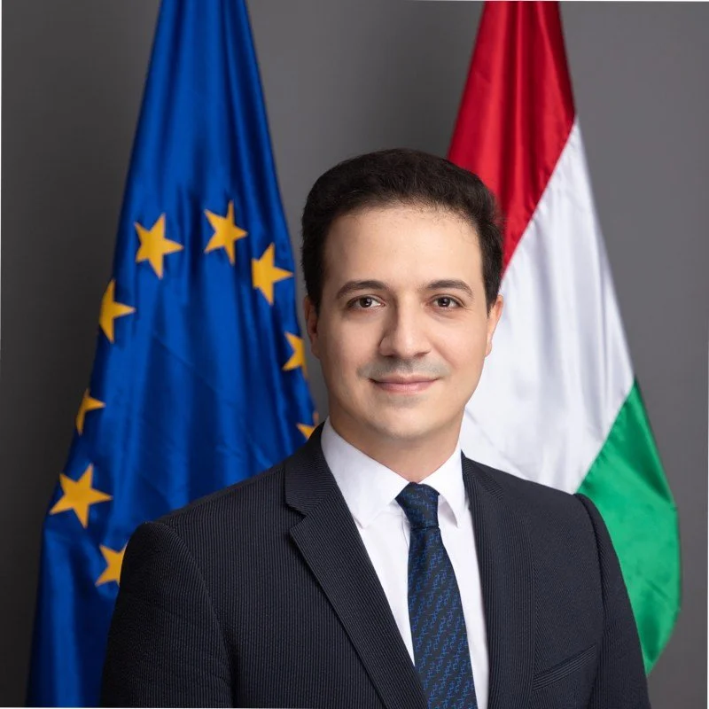 Man in formal suit with EU and Hungarian flags in the background