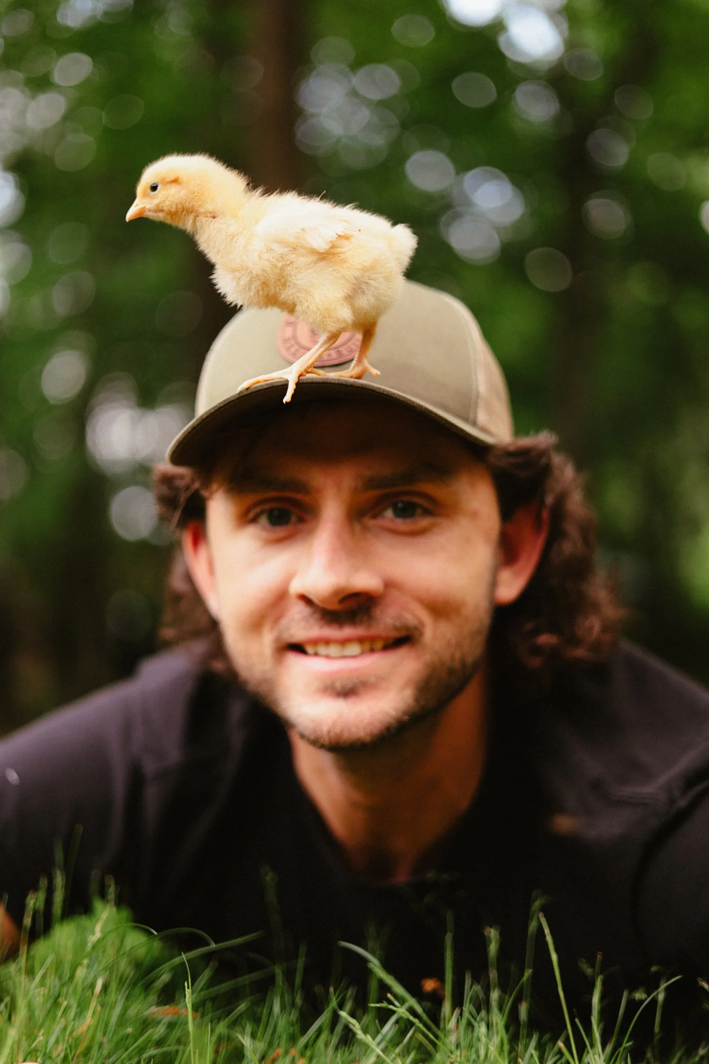 25-spring-chicks-34.jpg