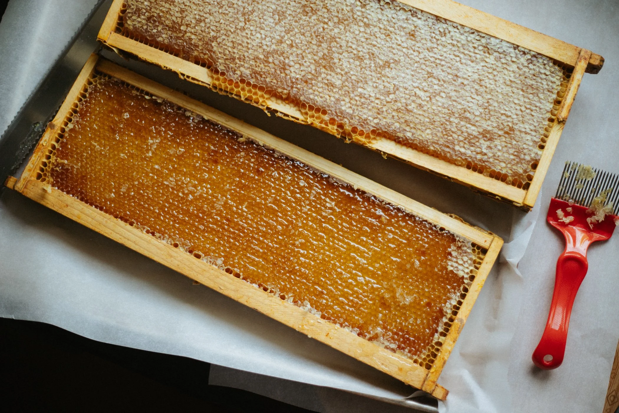25-honey-25.jpg