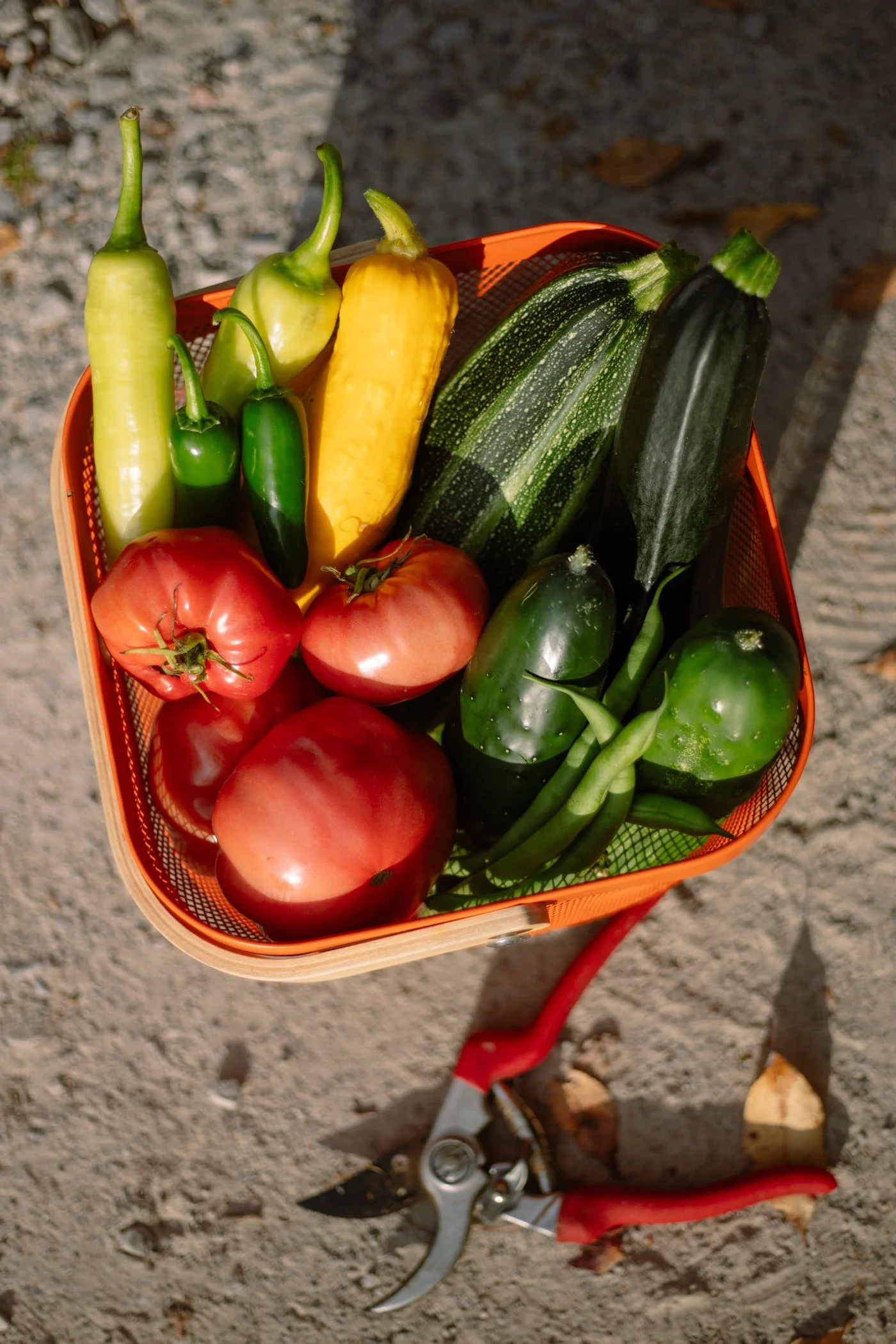 25-garden-39.jpg
