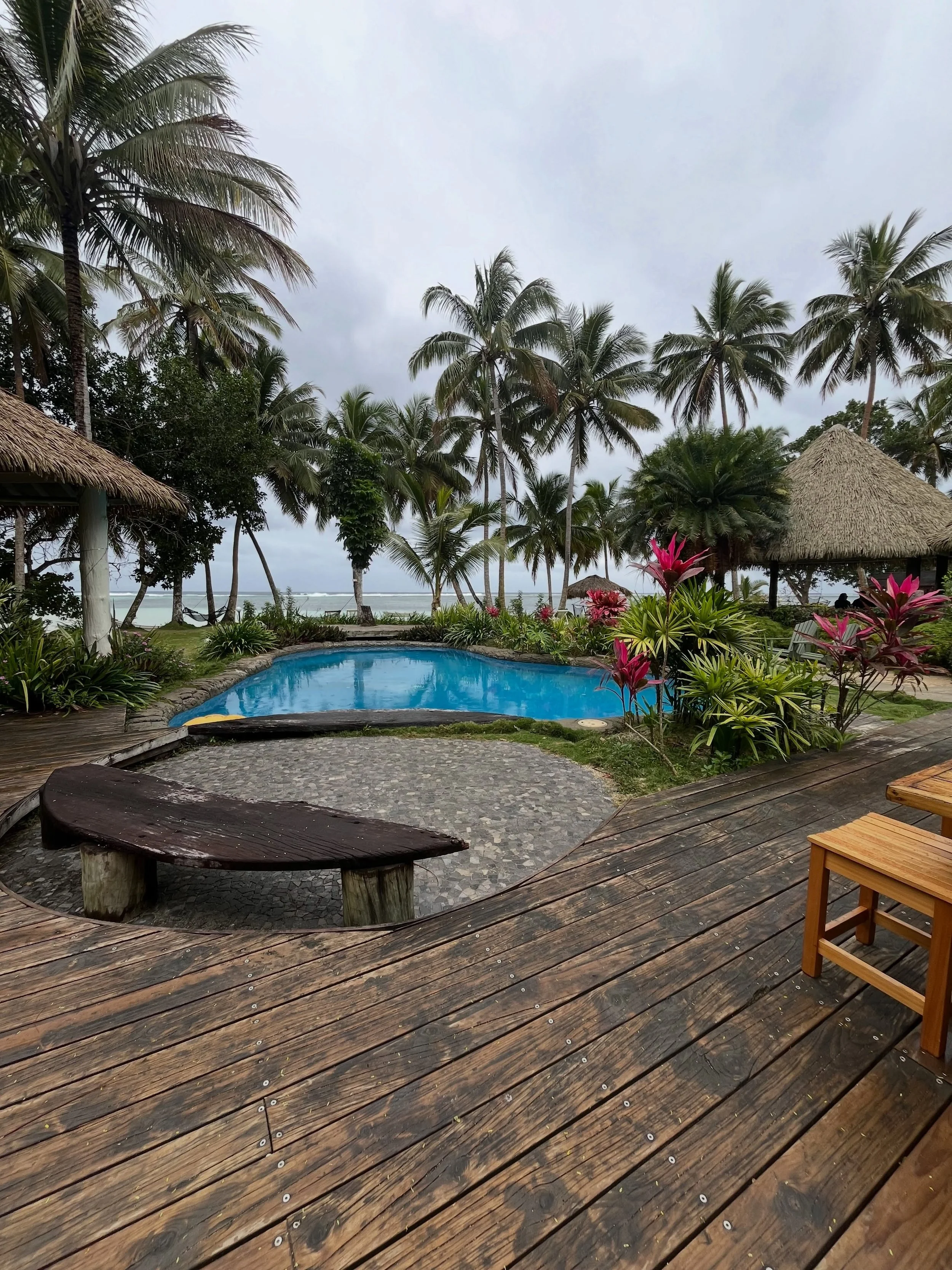 The views from our accommodations were so peaceful and full of lush nature and color 🌴🌊☀️🤿🇫🇯