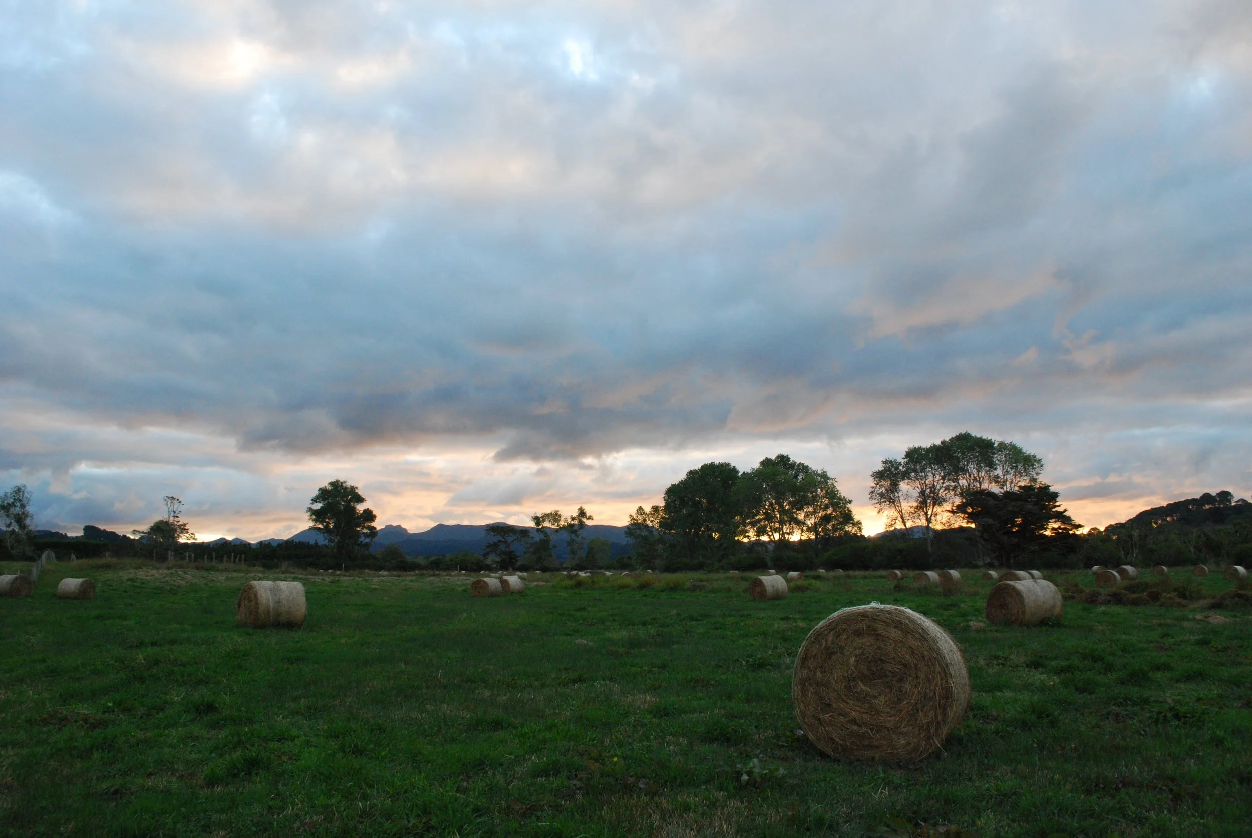 DSC_0152.JPG