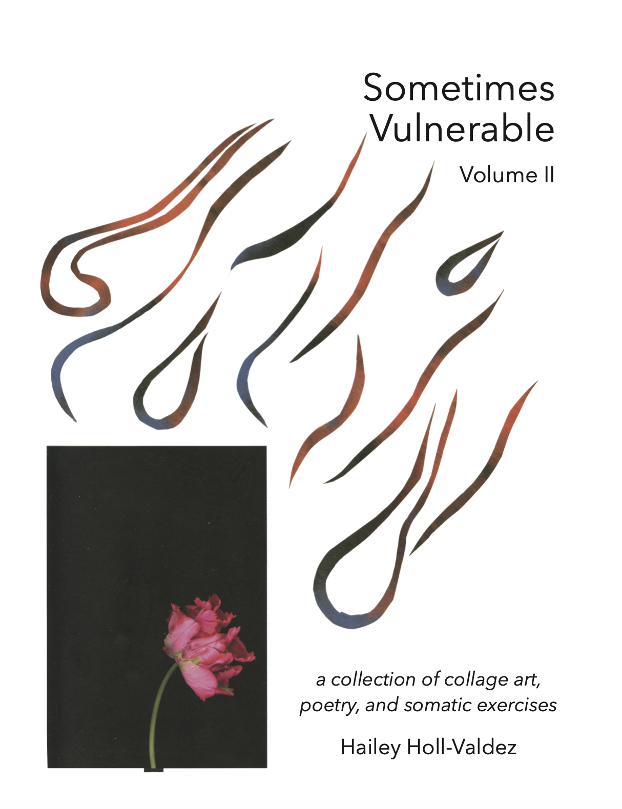 SV Volume II Cover Photo.png