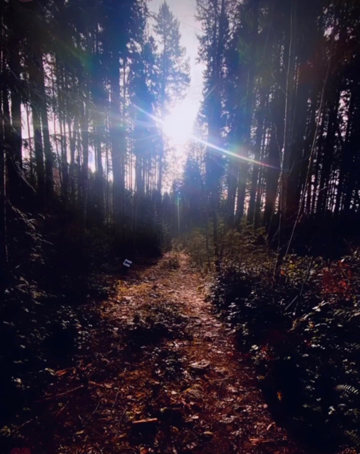 Exploring Gifts of Self