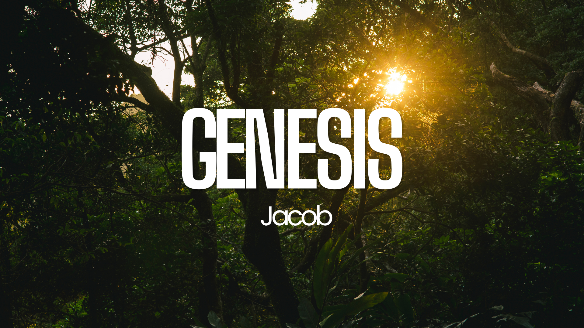 Genesis 35:9-36:43