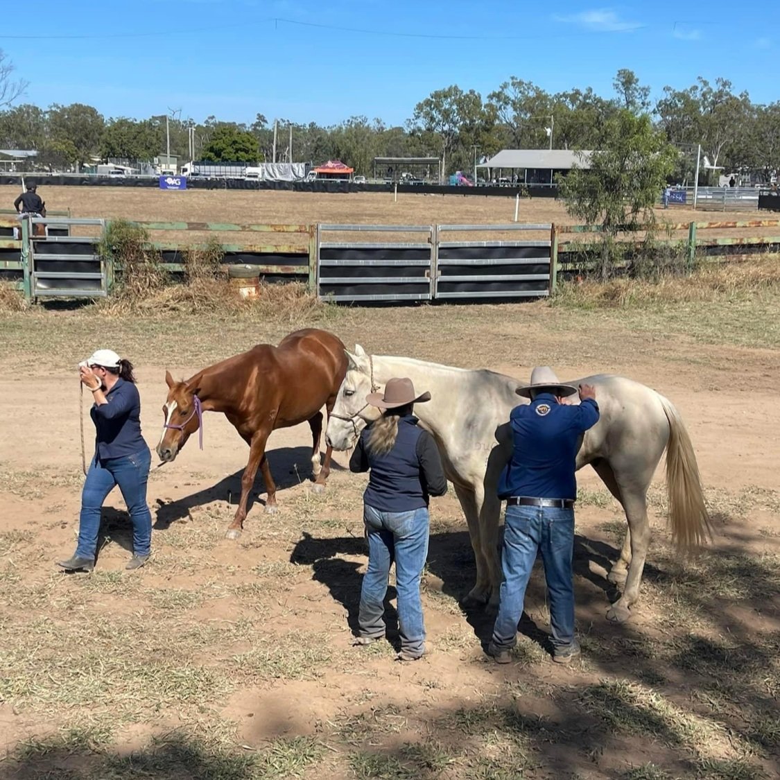 Clark Creek Campdraft 2022