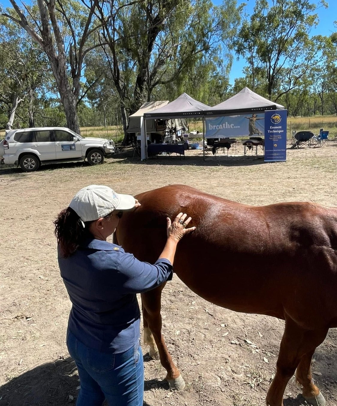 Getting to work on a horse!
