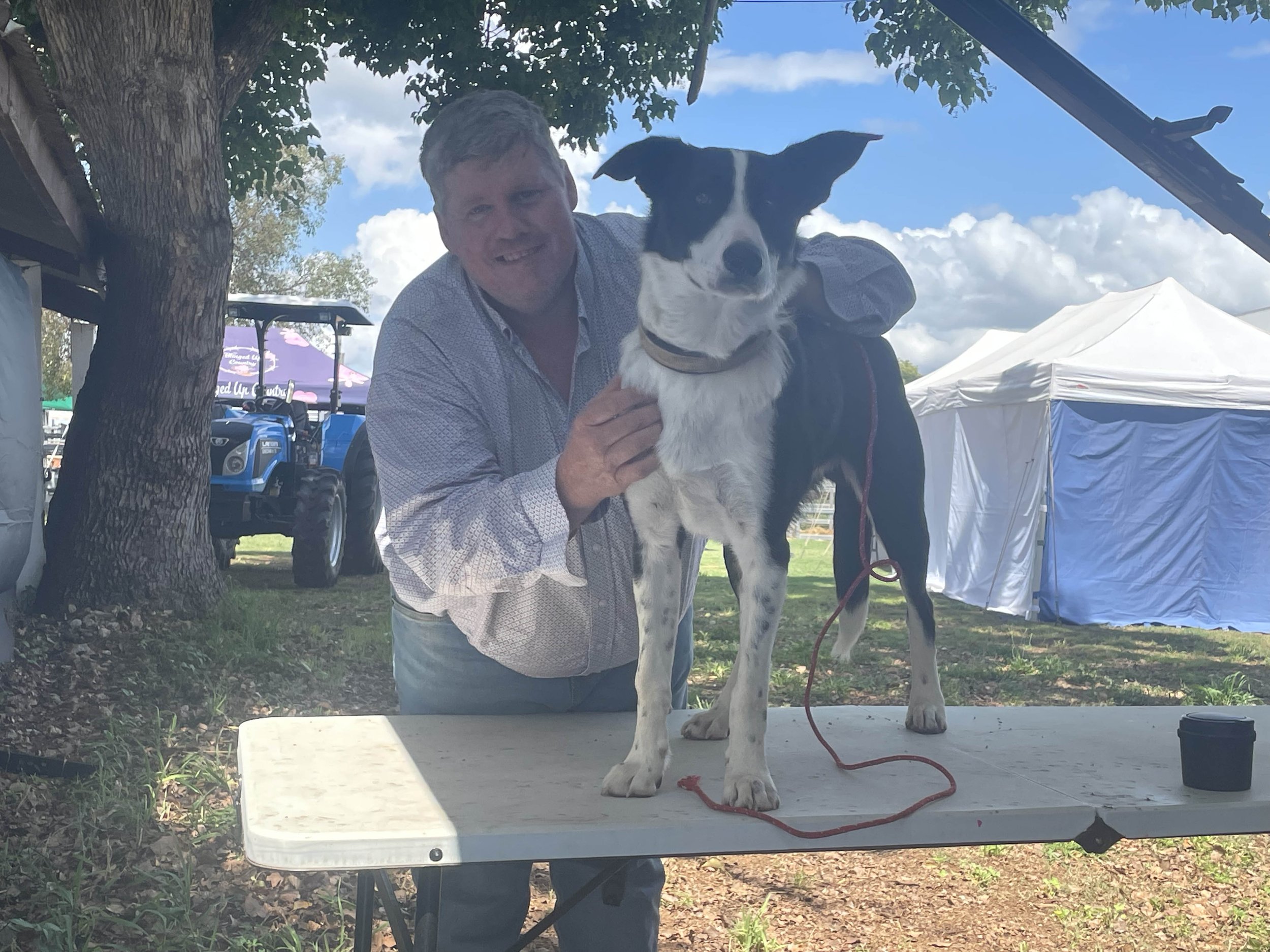 We love your dogs!