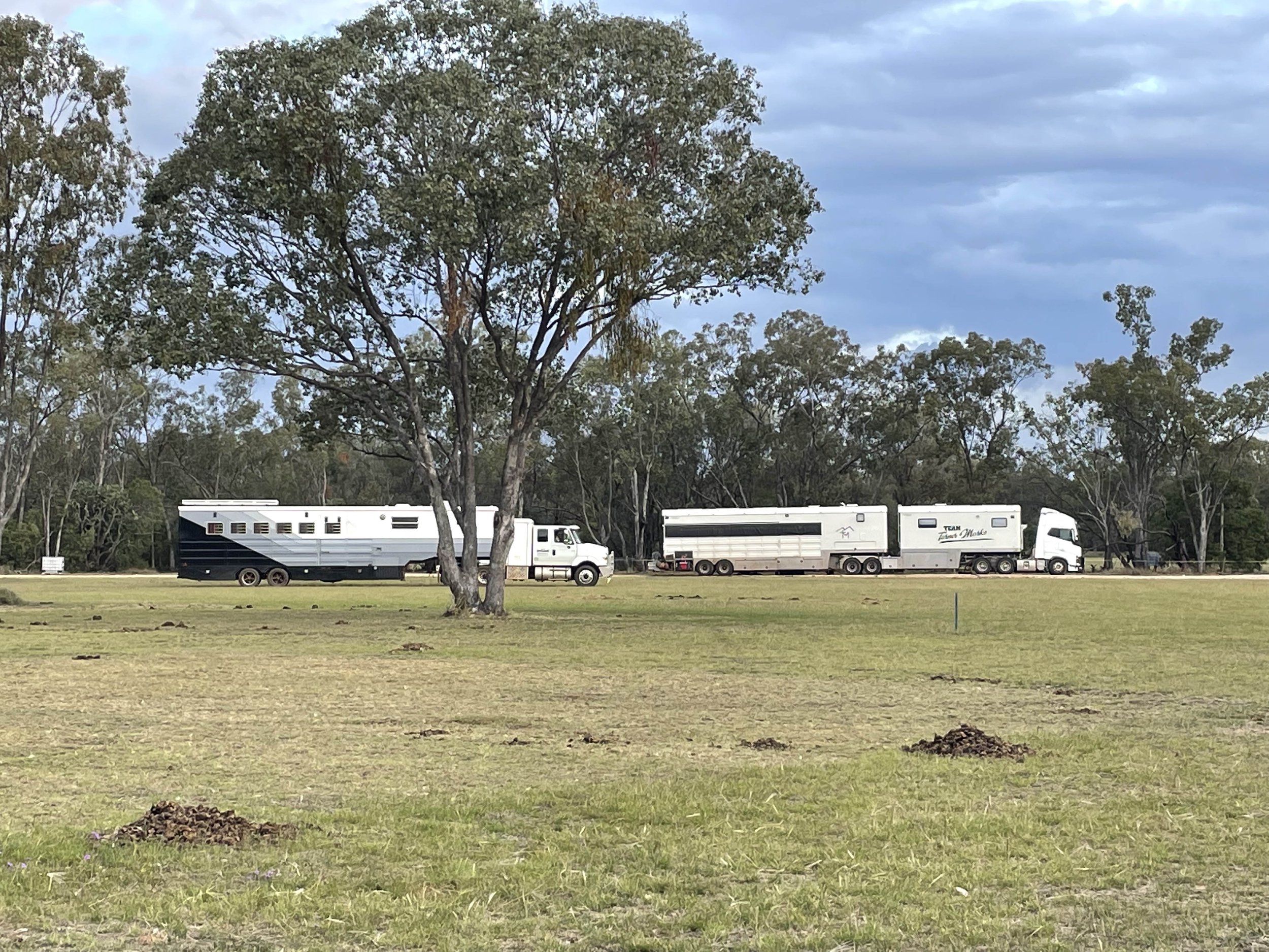 Huge mobile homes for horses and humans
