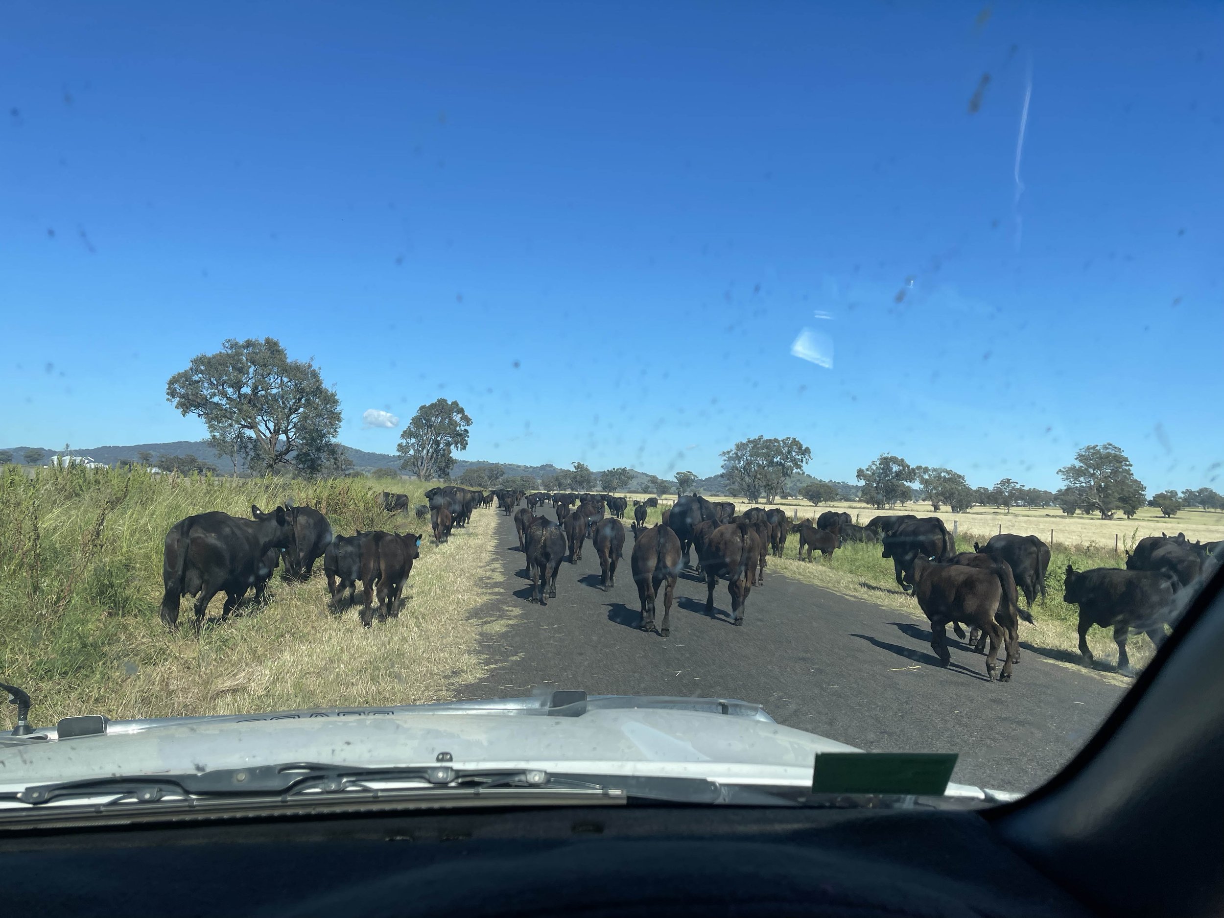 Traffic jam
