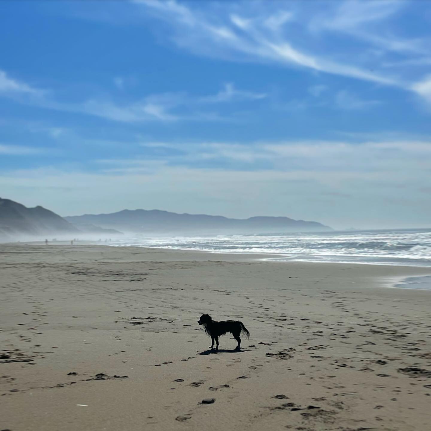 What a day. #fortfunston