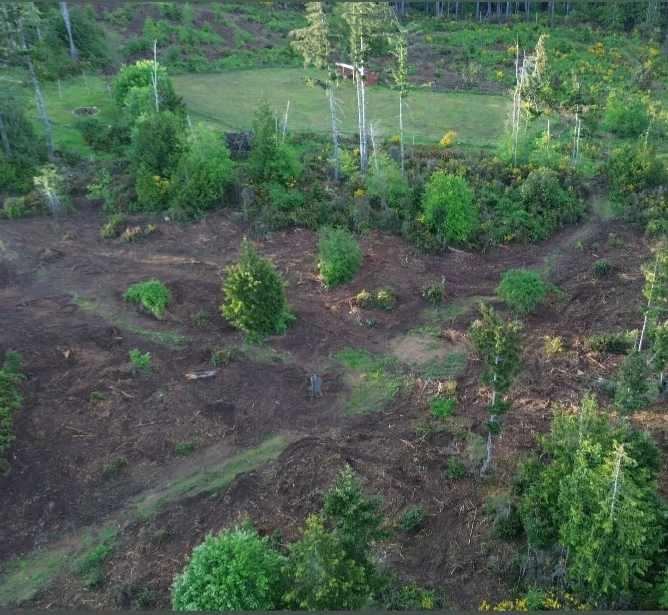 An aerial view of a hillside with areas of trees and bushes, some sections of the land cleared or disturbed, and a small green lawn in the background.
