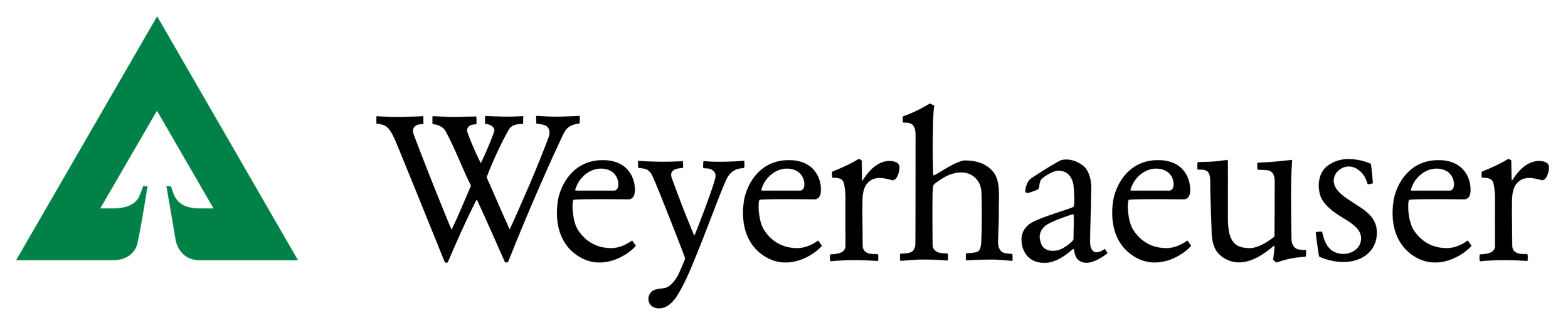 Green logo of the Appalachian Trail with the words 'The Appalachian Trail Conservancy' on a white background.