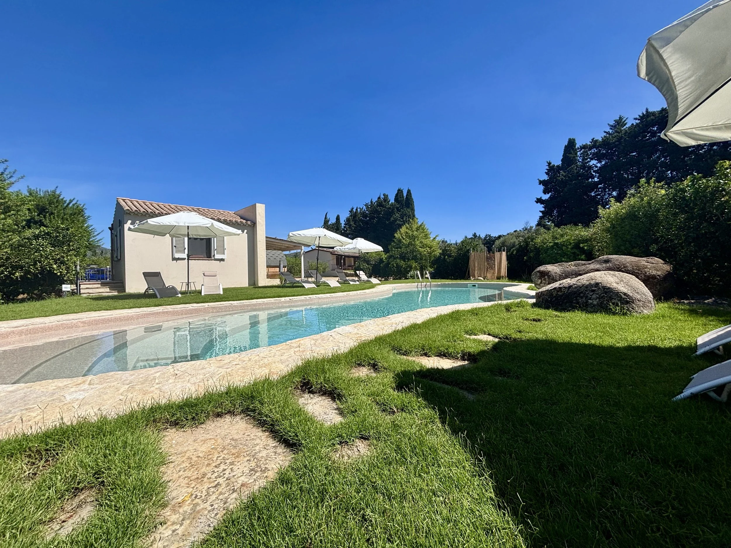 A swimming pool with lounge chairs and umbrellas in a backyard, surrounded by trees and rocks, under a clear blue sky.