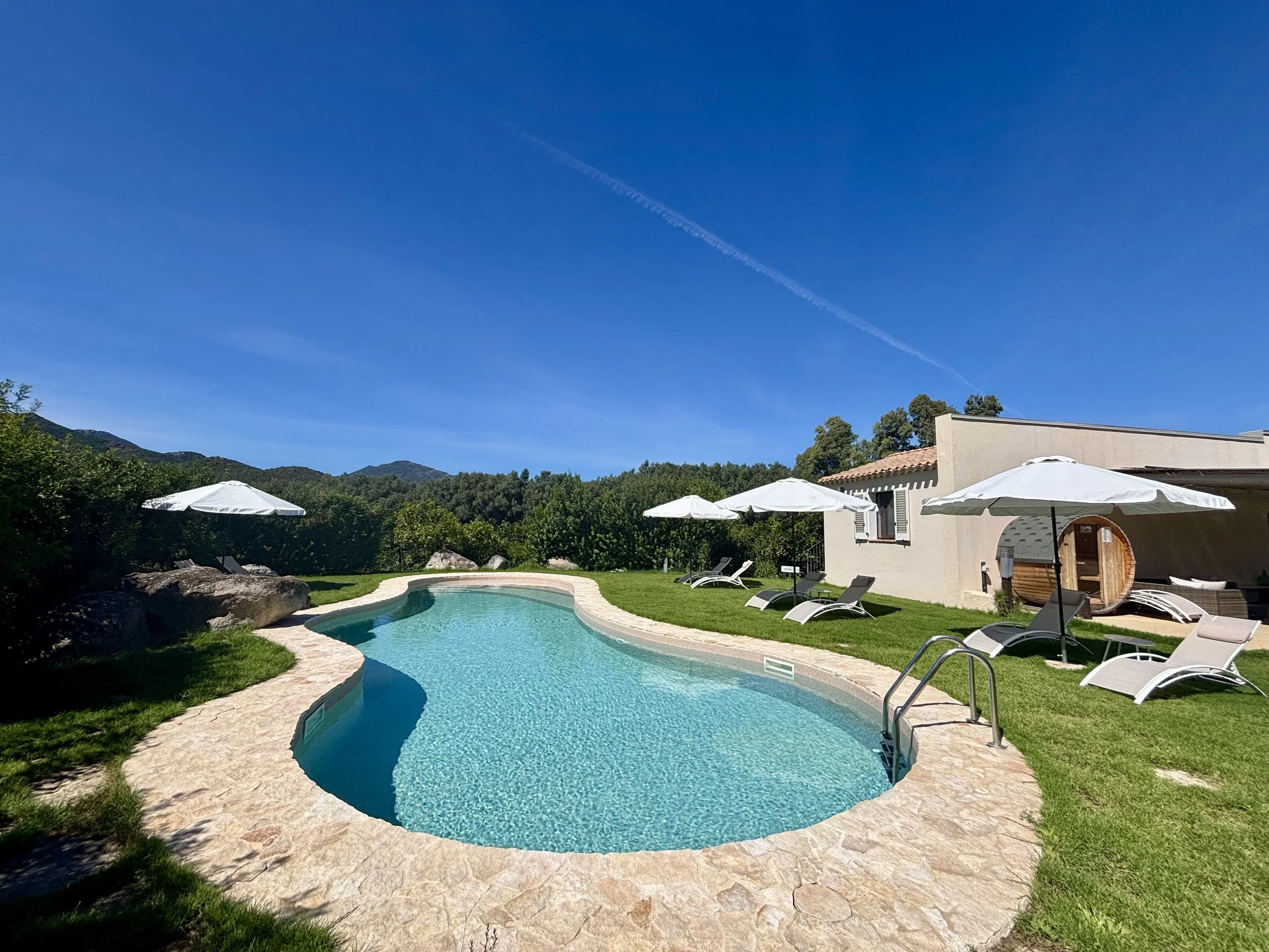 A backyard with a swimming pool, lounge chairs, and umbrellas, surrounded by green grass and trees, with mountains in the background under a clear blue sky.