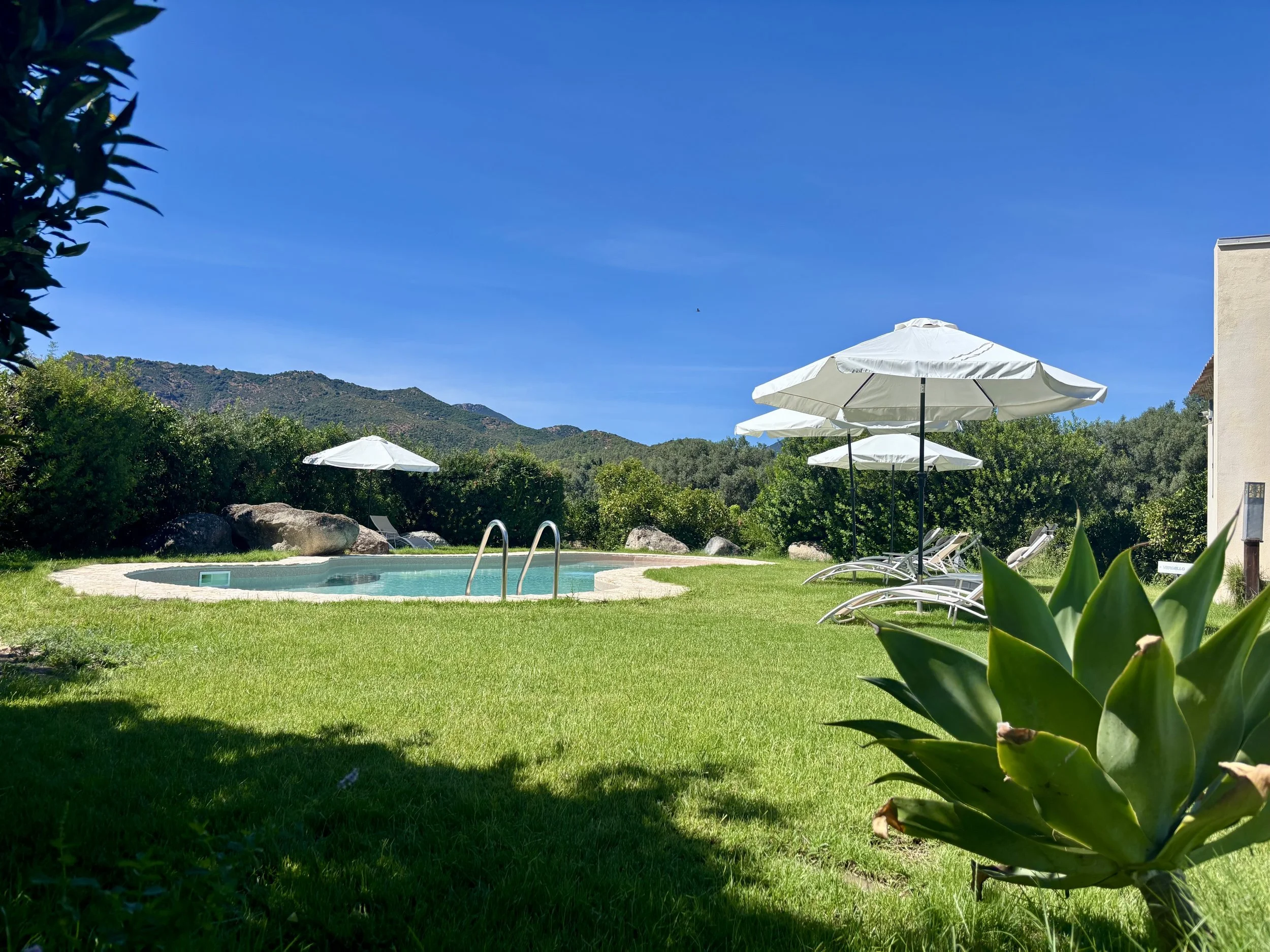 A backyard with a swimming pool, green lawn, white umbrellas, lounge chairs, bushes, mountains in the background, and a clear blue sky.