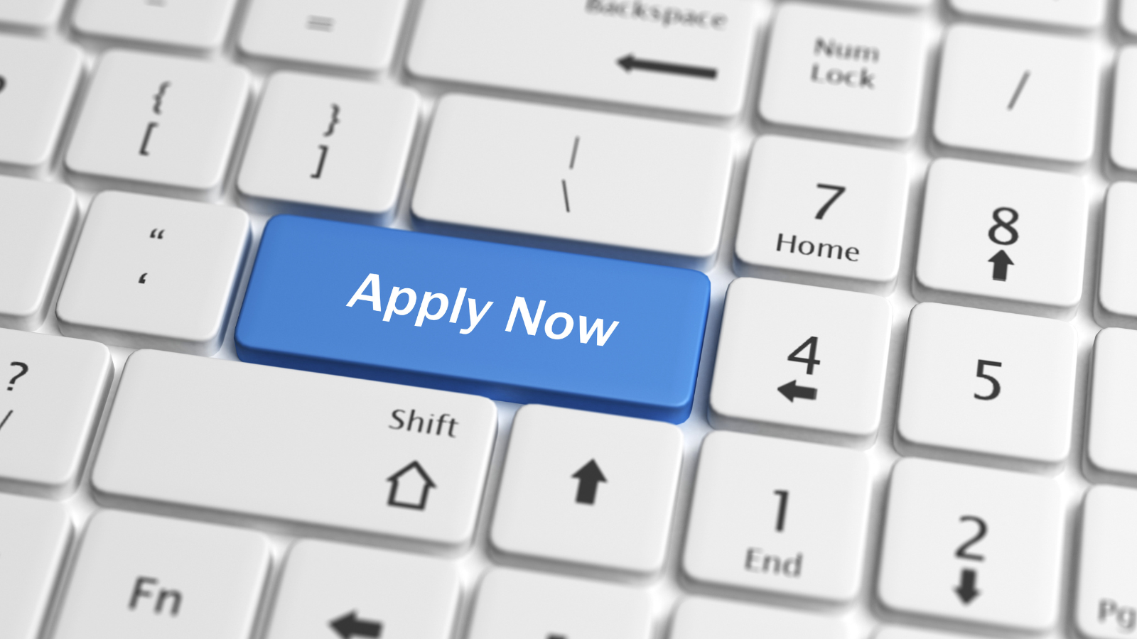 Endocrinology and diabetes board offer new opportunity to join the team