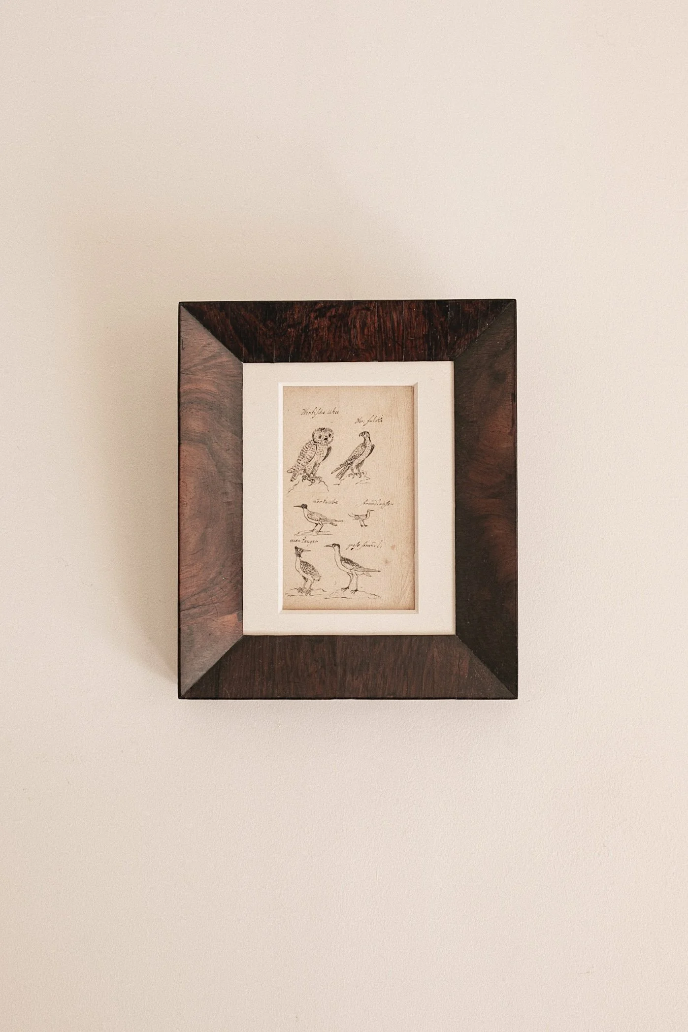 4402BE7B-6EDC-4E06-A2FF-22BC7AD705AC.jpg