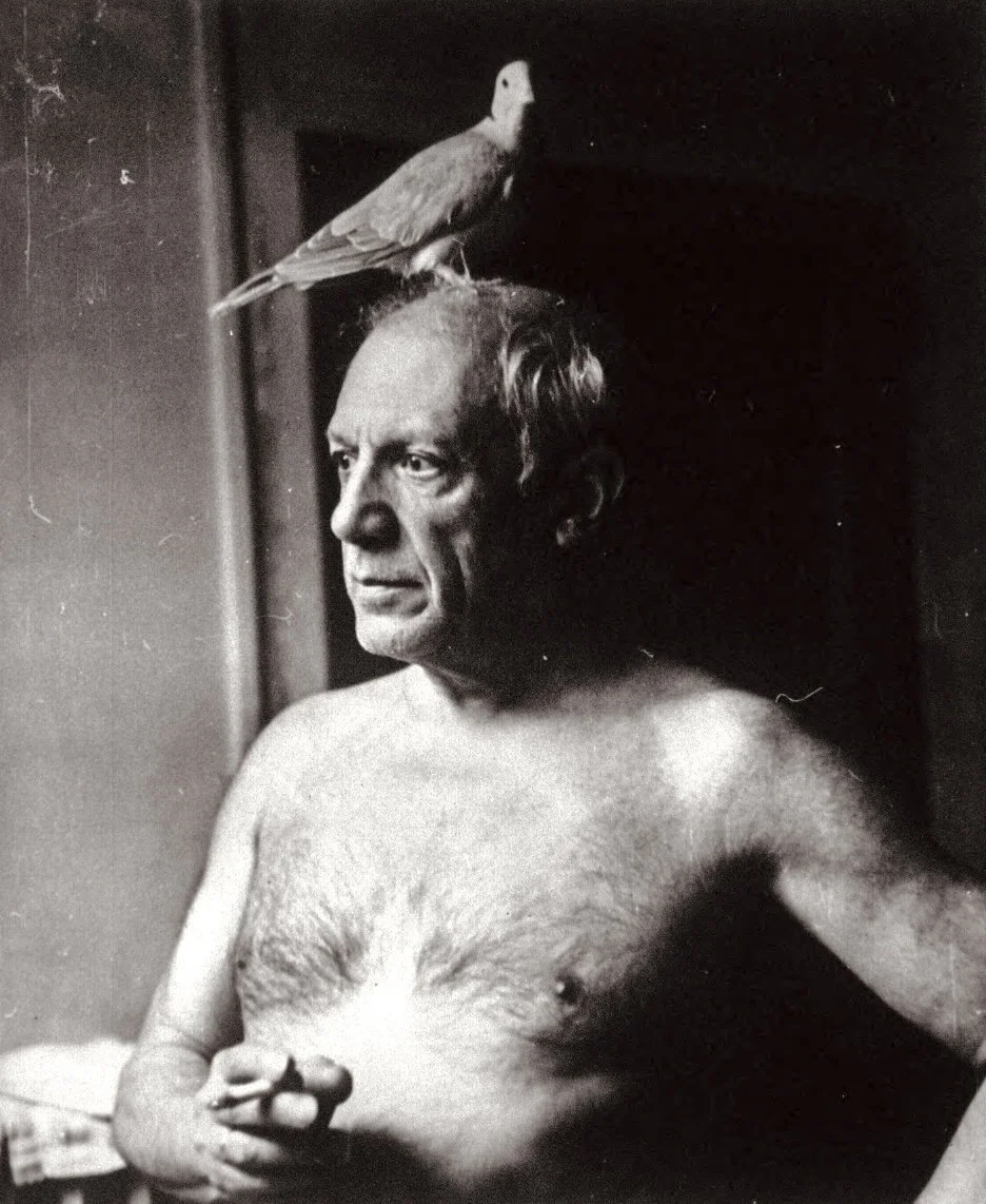 Pablo Picasso (1881 - 1973) Dove of Peace