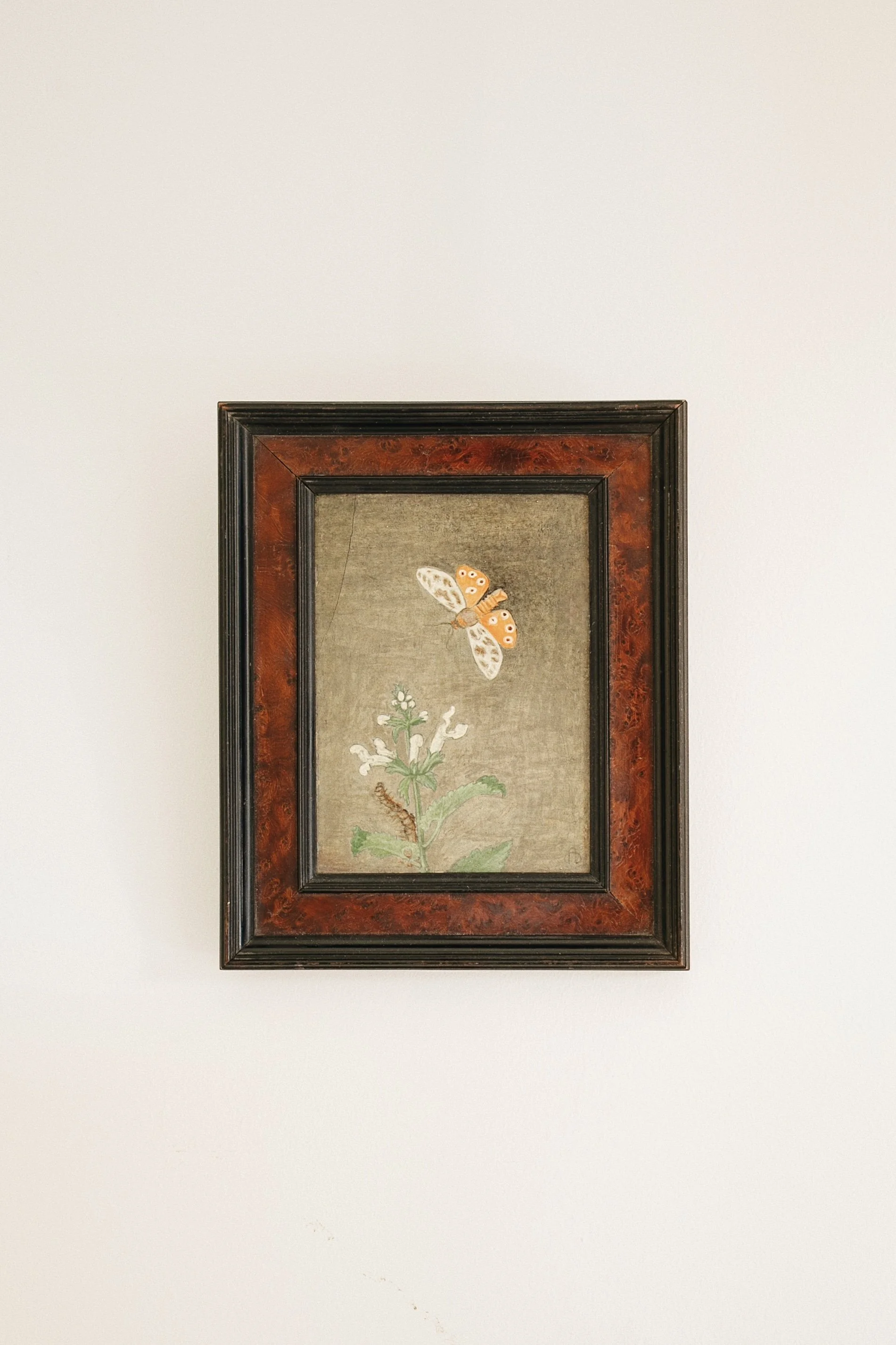 Maxwell Ashby Armfield (1881 - 1972) Still Life