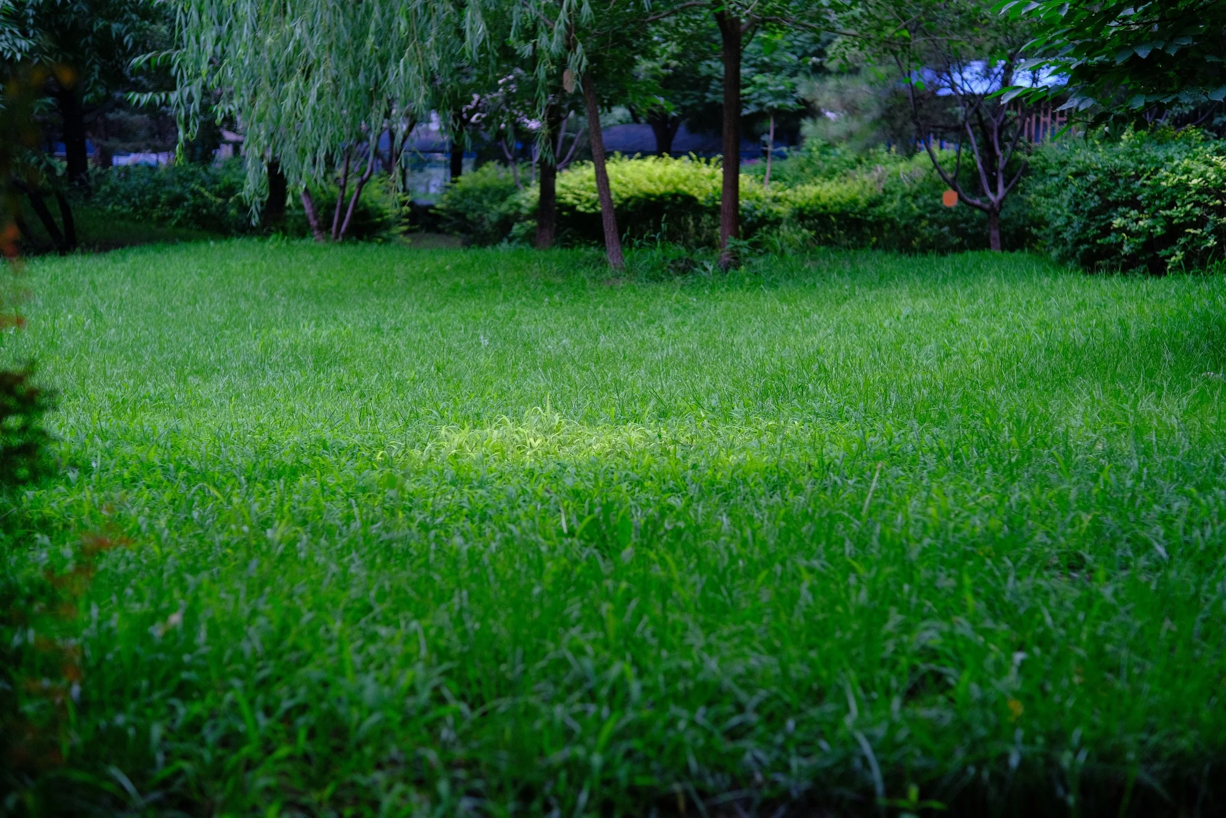 The Smell of Cut Grass and Pancakes