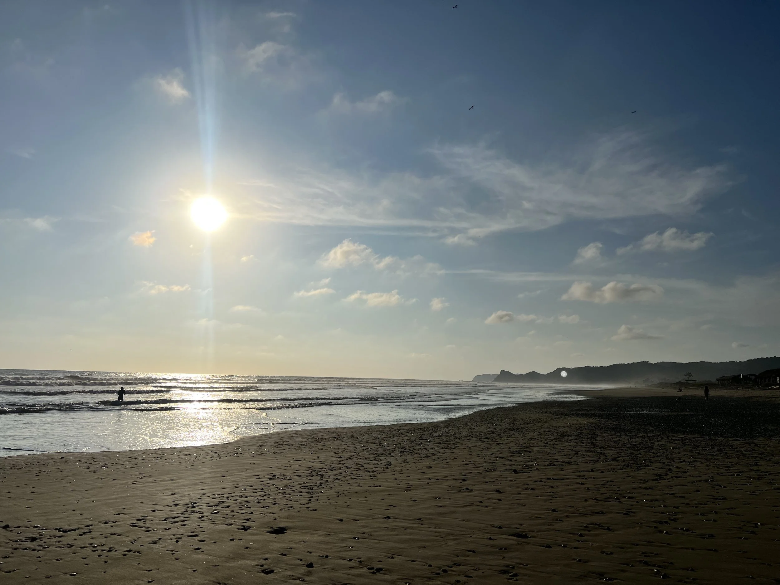 IMG_3799.jpeg