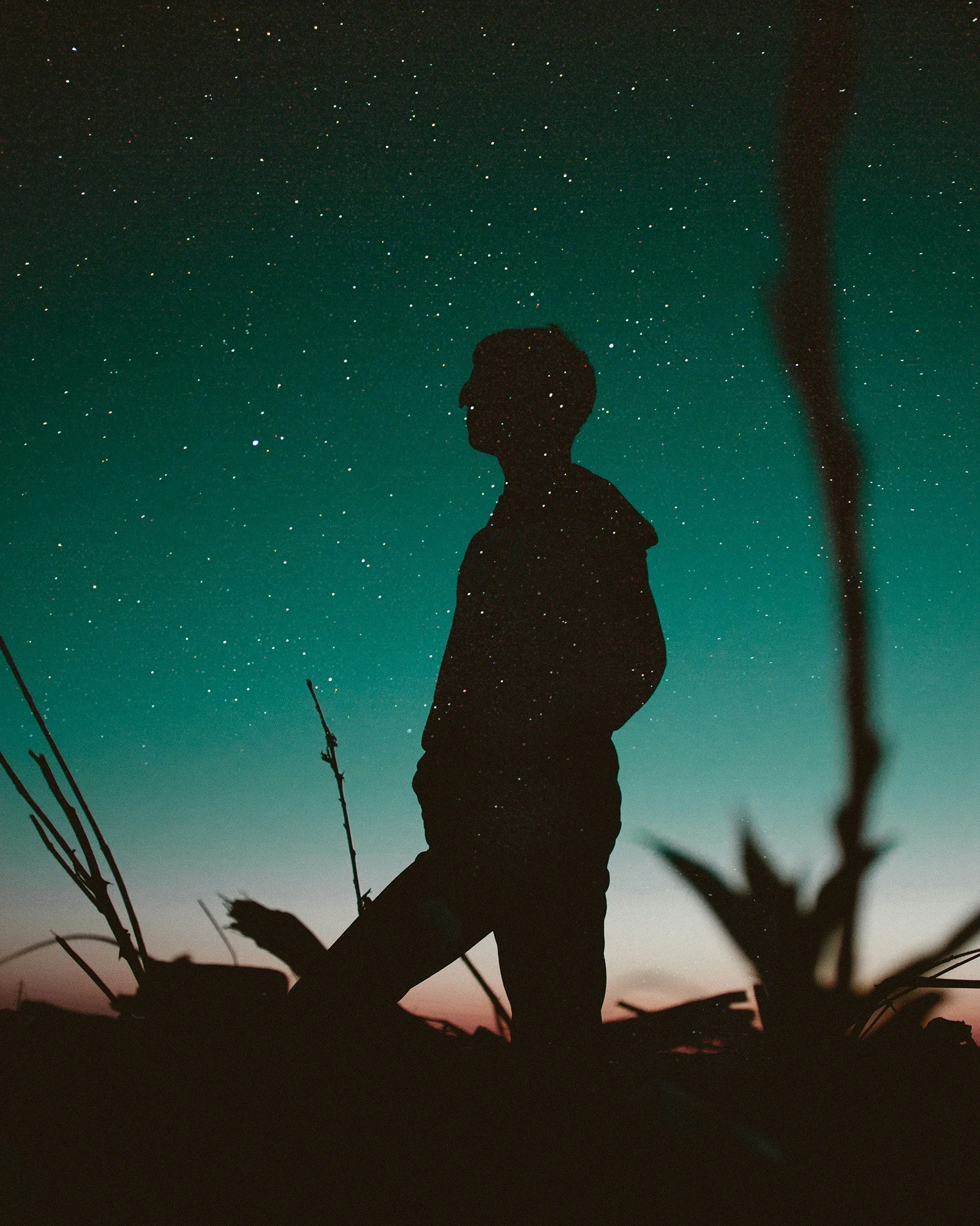 Letter to a fellow traveler on the road of life
