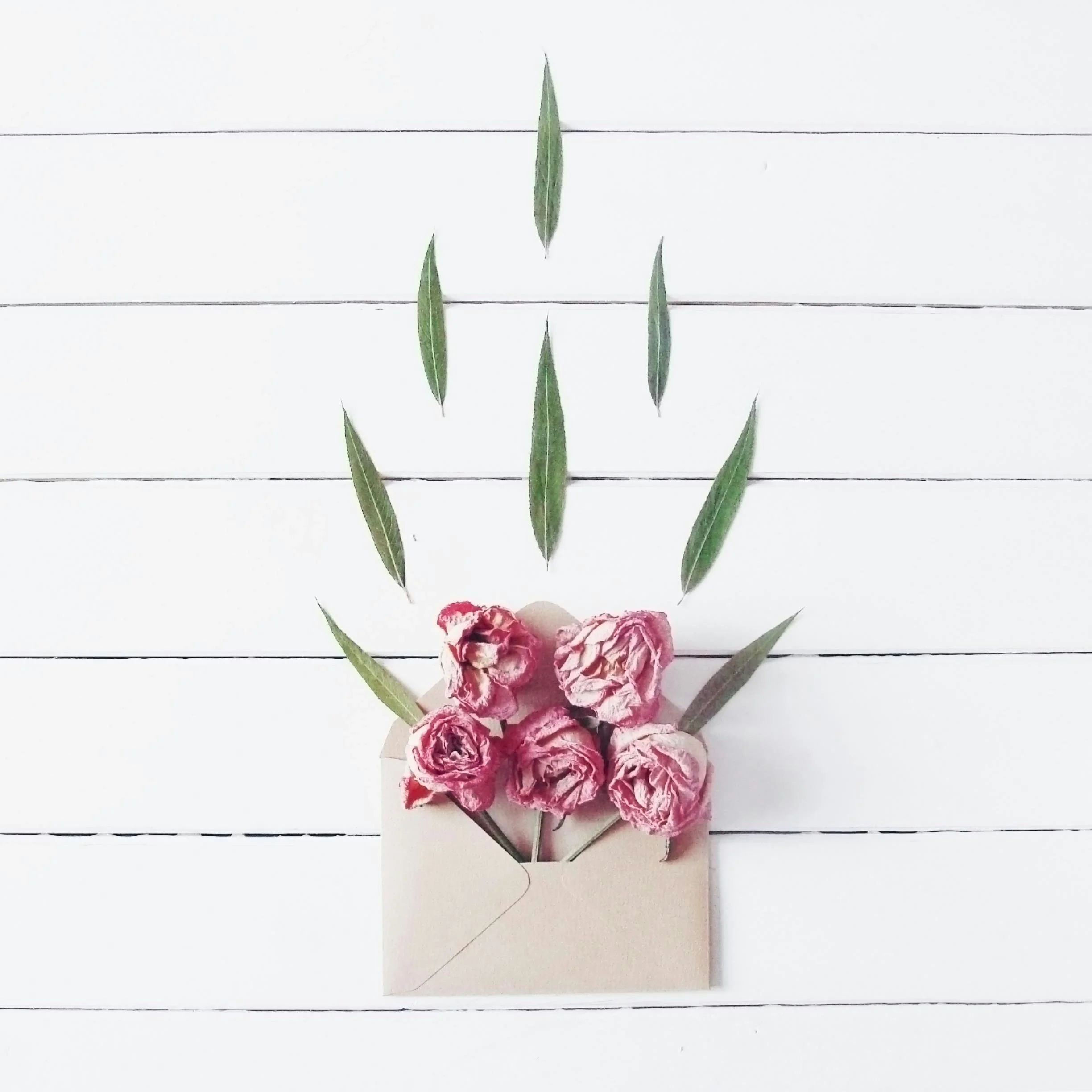 Letters Correspondence.jpg