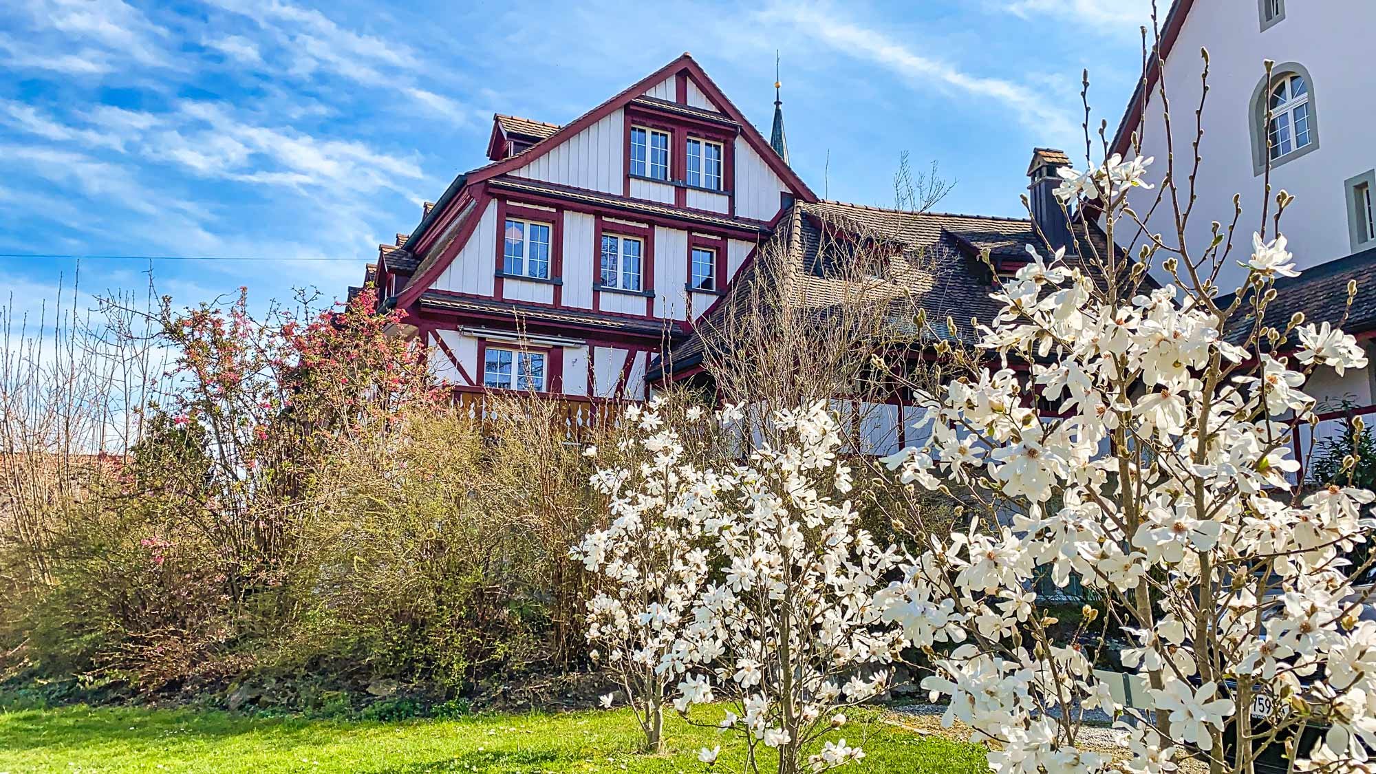 Magnolien blühen rund um das historische Anwesen Zehntenhof in Illighausen