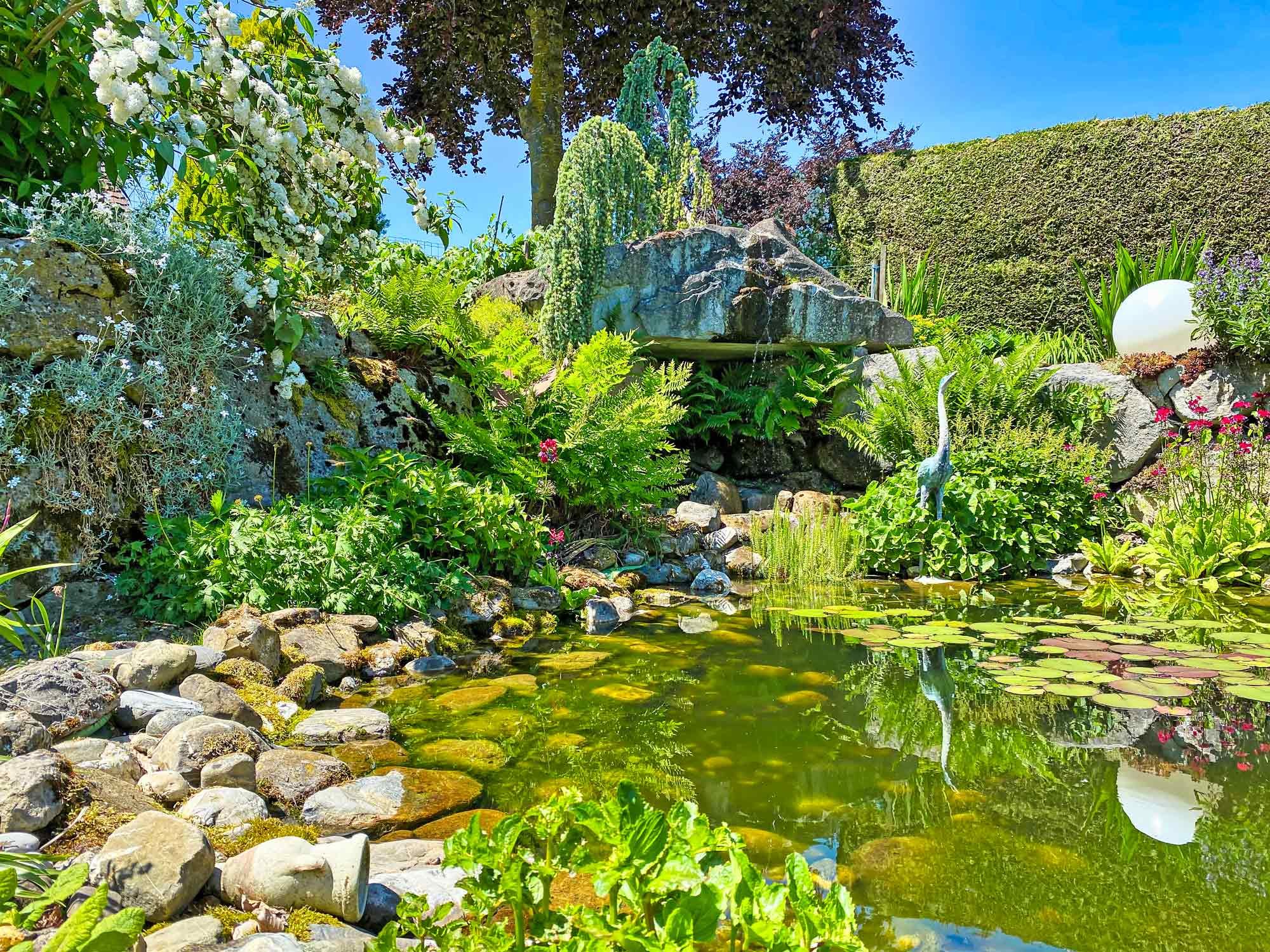 Idyllische Natur hoch über dem Bodensee, hier sind auf dem historischen Anwesen Zehntenhof in Illighausen moderne und helle Wohnungen zu vermieten. Eingebettet in ein Blumenmeer mit Teichanlagen und Springbrunnen, Wohnen wo andere Ferien machen.