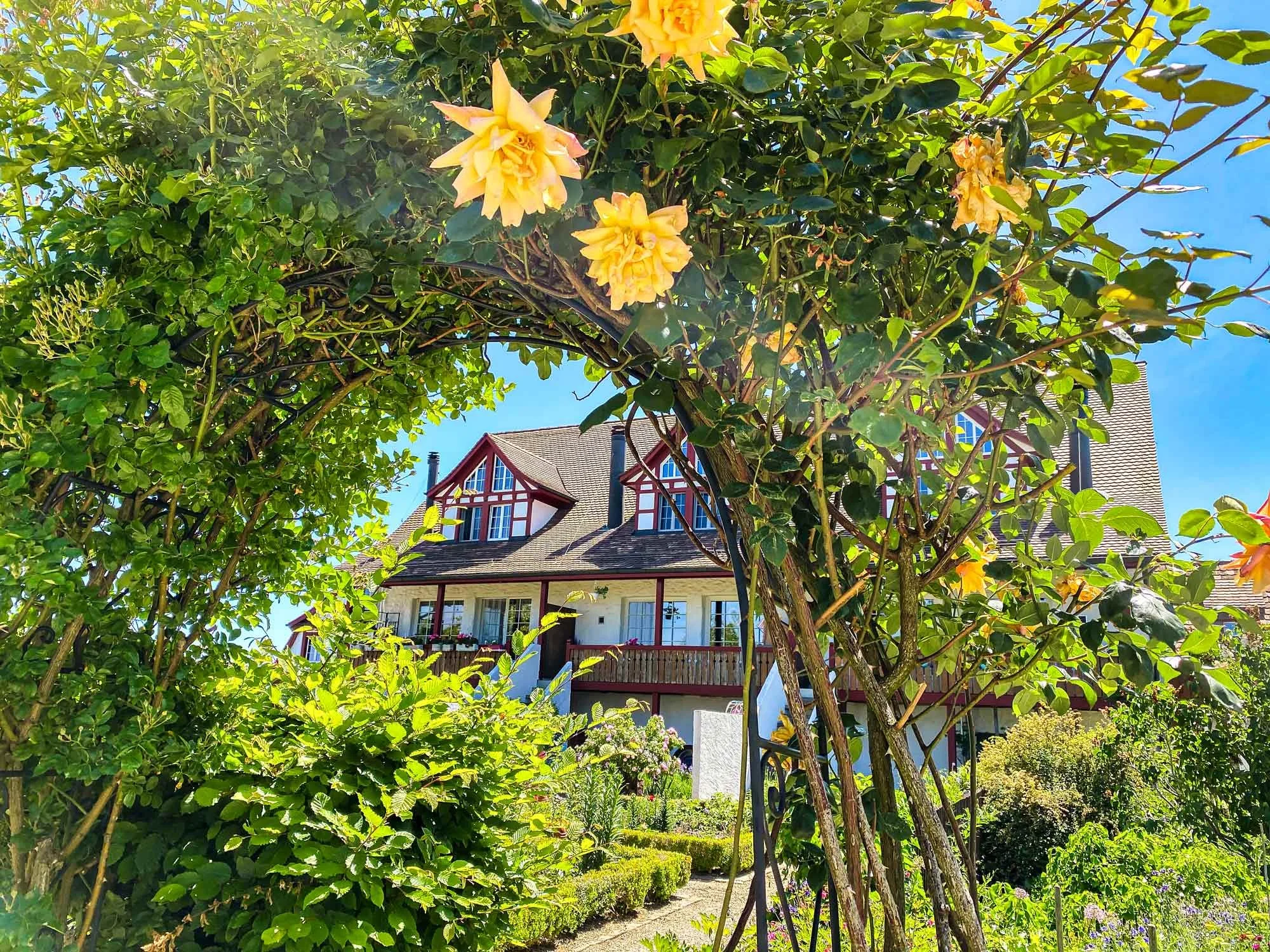 Idyllische Natur hoch über dem Bodensee, hier sind auf dem historischen Anwesen Zehntenhof in Illighausen moderne und helle Wohnungen zu vermieten. Eingebettet in ein Blumenmeer mit Teichanlagen und Springbrunnen, Wohnen wo andere Ferien machen. Hist