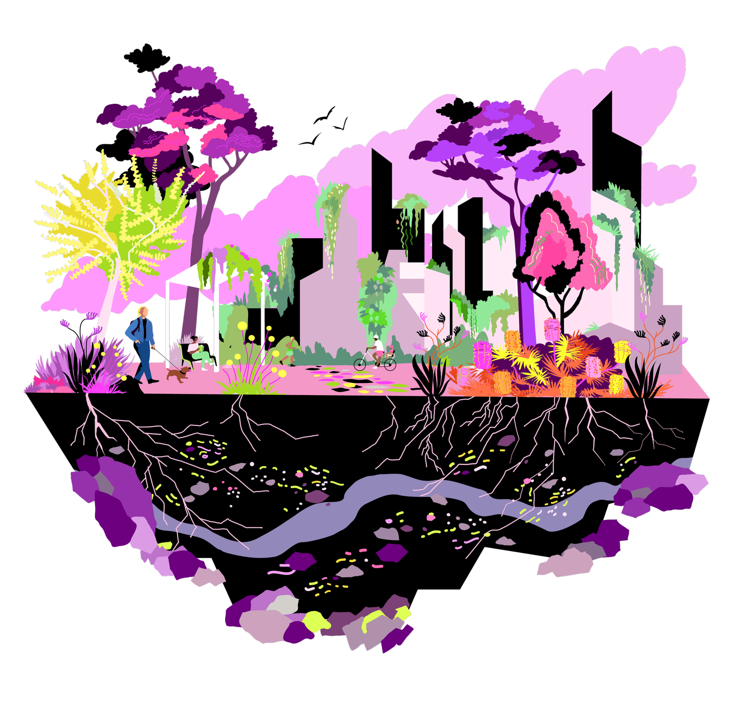 FOOKS Landscape Architecture and Urban Design