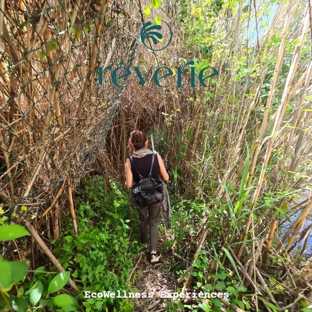 Experi&ecirc;ncias EcoWellness 🌿 Sa&uacute;de e bem-estar na Natureza 🌿 Reserve com a R&ecirc;verie.

Criamos experi&ecirc;ncias imersivas &agrave; sua medida.  Contatos na Bio.

R&ecirc;verie 
Naturing You