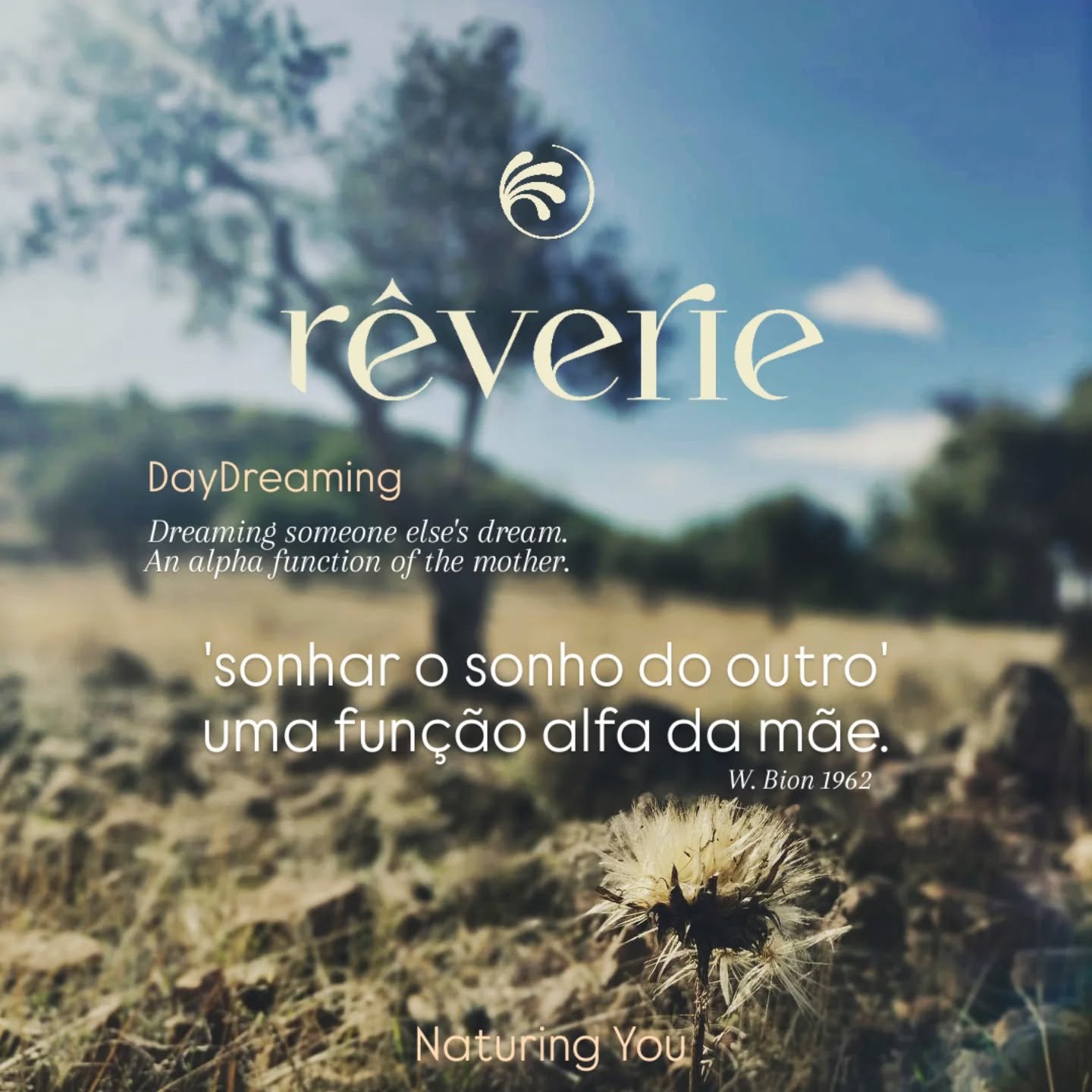 R&Ecirc;VERIE &eacute; como viver um sonho acordado.

Explora mais sobre como este conceito inspira o meu trabalho ✨️ https://www.myreverie.pt/sobre

#psicologia #r&ecirc;verieforme #r&ecirc;verieforus #daydreaming #wellnessjourney #ecopsicologia #ec