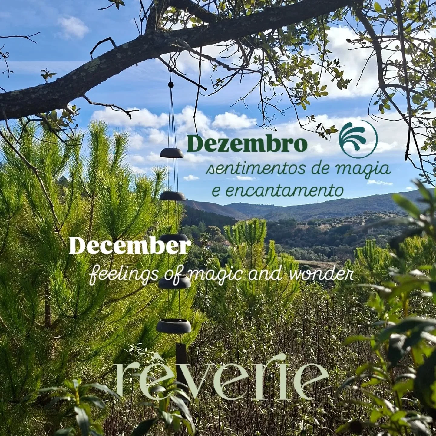 Dezembro chegou com sentimentos de magia e encantamento ✨️✨️✨️

Prestar aten&ccedil;&atilde;o &agrave; magia da vida real requer presen&ccedil;a. Estar no 'aqui e agora' &eacute; o segredo para conseguir ver, e sentir, o extraordin&aacute;rio naquilo