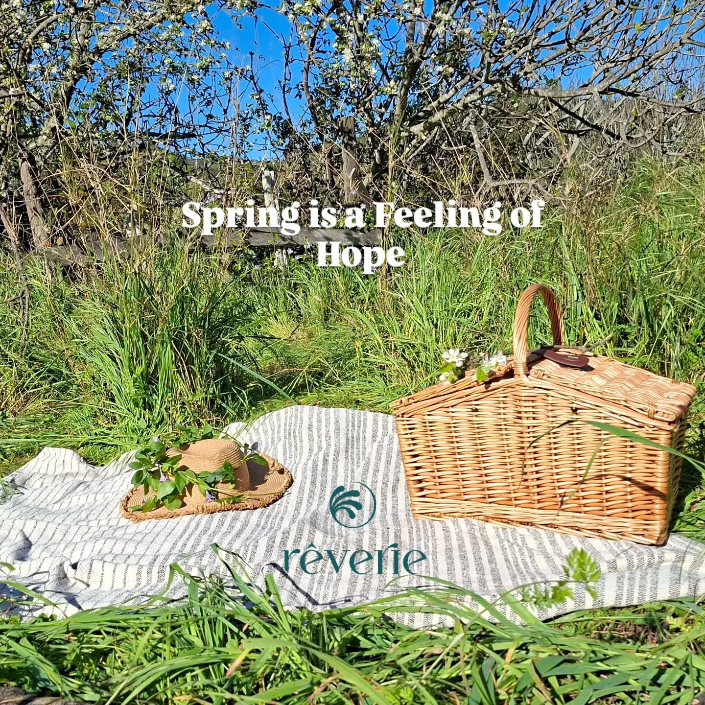 "Spring is a feeling of hope". Uma promessa de que, depois do inverno mais longo, algo belo est&aacute; prestes a florescer 🦋🌸✨️🌸🦋

A esta&ccedil;&atilde;o do ano que nos traz o esp&iacute;rito da renova&ccedil;&atilde;o e da esperan&cc