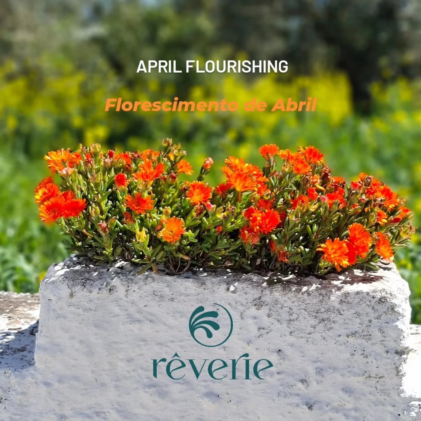 Abril &eacute; o m&ecirc;s do desabrochar (da&iacute; o termo&nbsp;flourishing). 
A palavra "abril" vem do latim&nbsp;aperire, que significa&nbsp;"abrir", referindo-se &agrave; abertura das flores e ao renascimento da vida ap&oacu