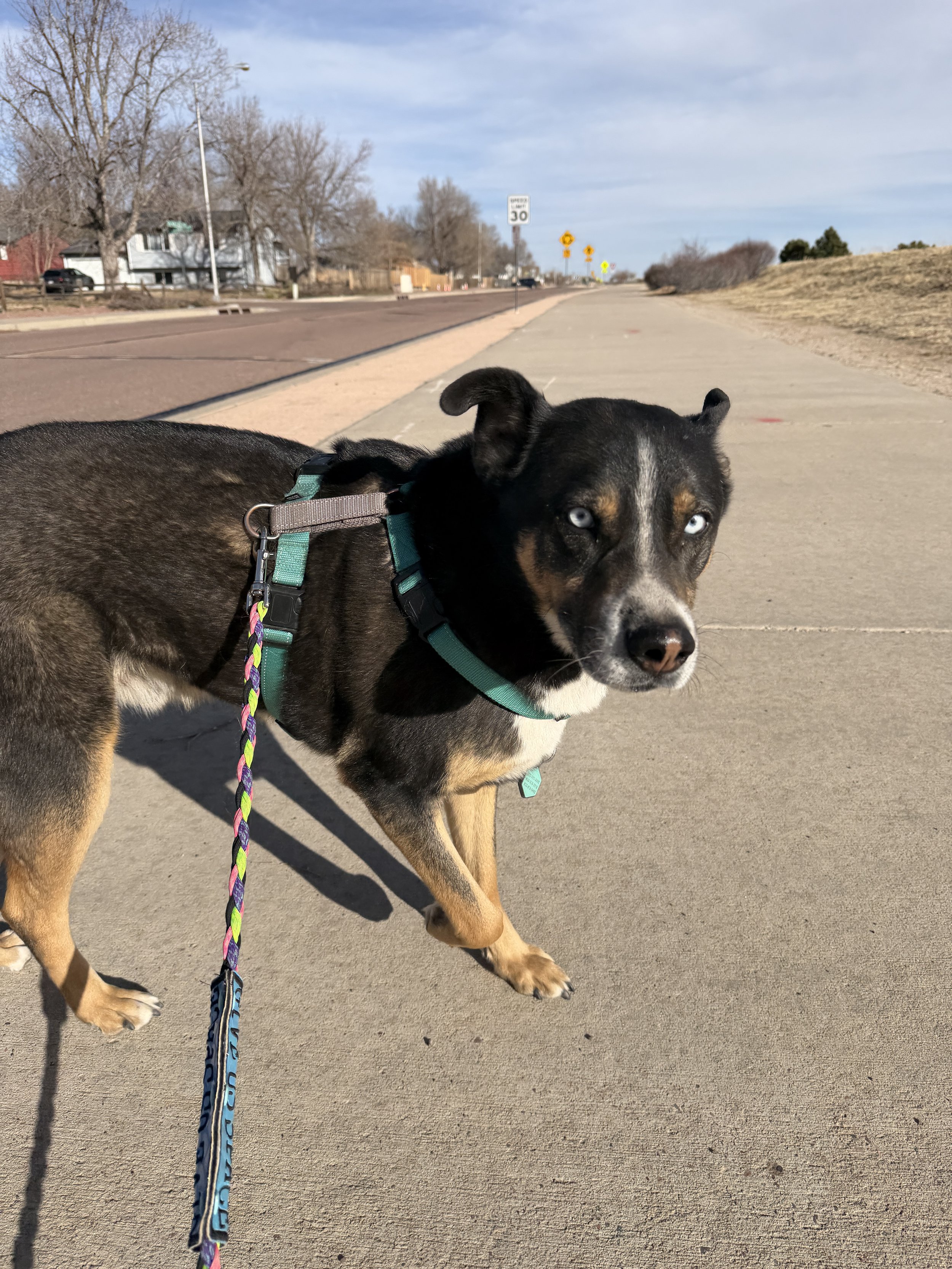 The Standards Behind Our Care!