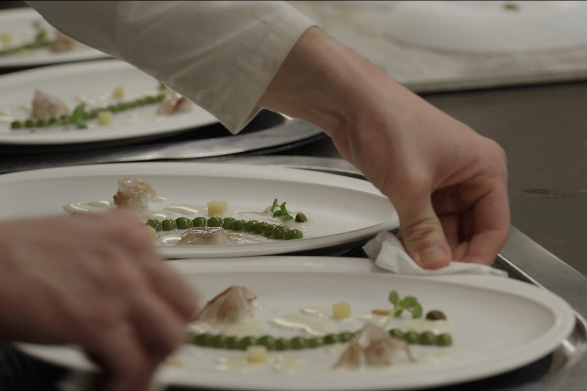 Blank Plate: Creating the Best Restaurant in the World w/ABCs of Oysters — 15th Devour! The Food Film Fest