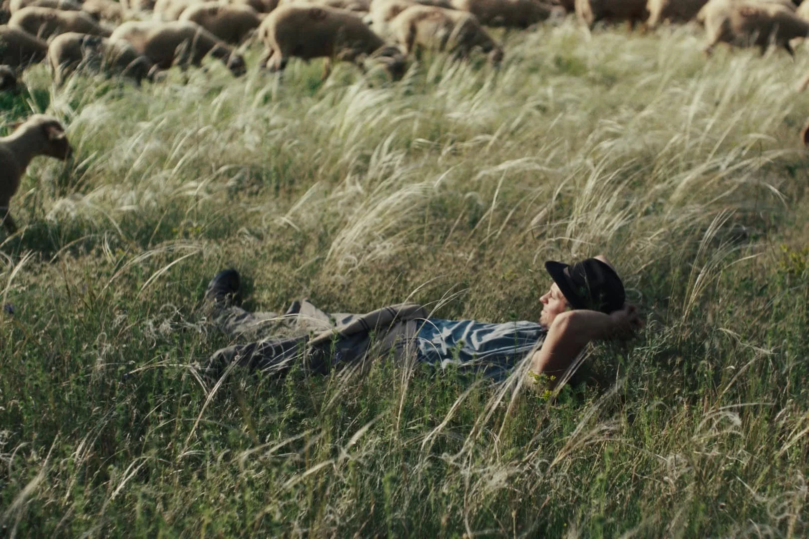 Shepherds w/Chien de Sang — 15th Devour! The Food Film Fest