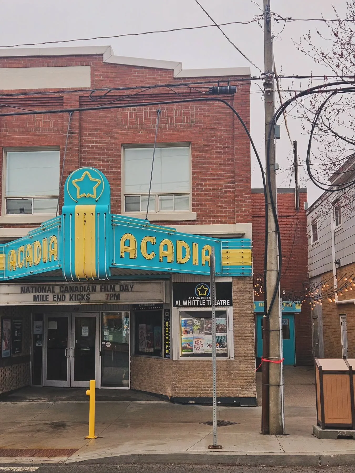 It's National Canadian Film Day! Join us for Mile End Kicks tonight at 7:00PM (Wed, Apr 15th)

And take a short survey about Canada, our culture, our stories, and our role in this rapidly changing world at the link in our stories! 🫎🍁

📽 About Mile