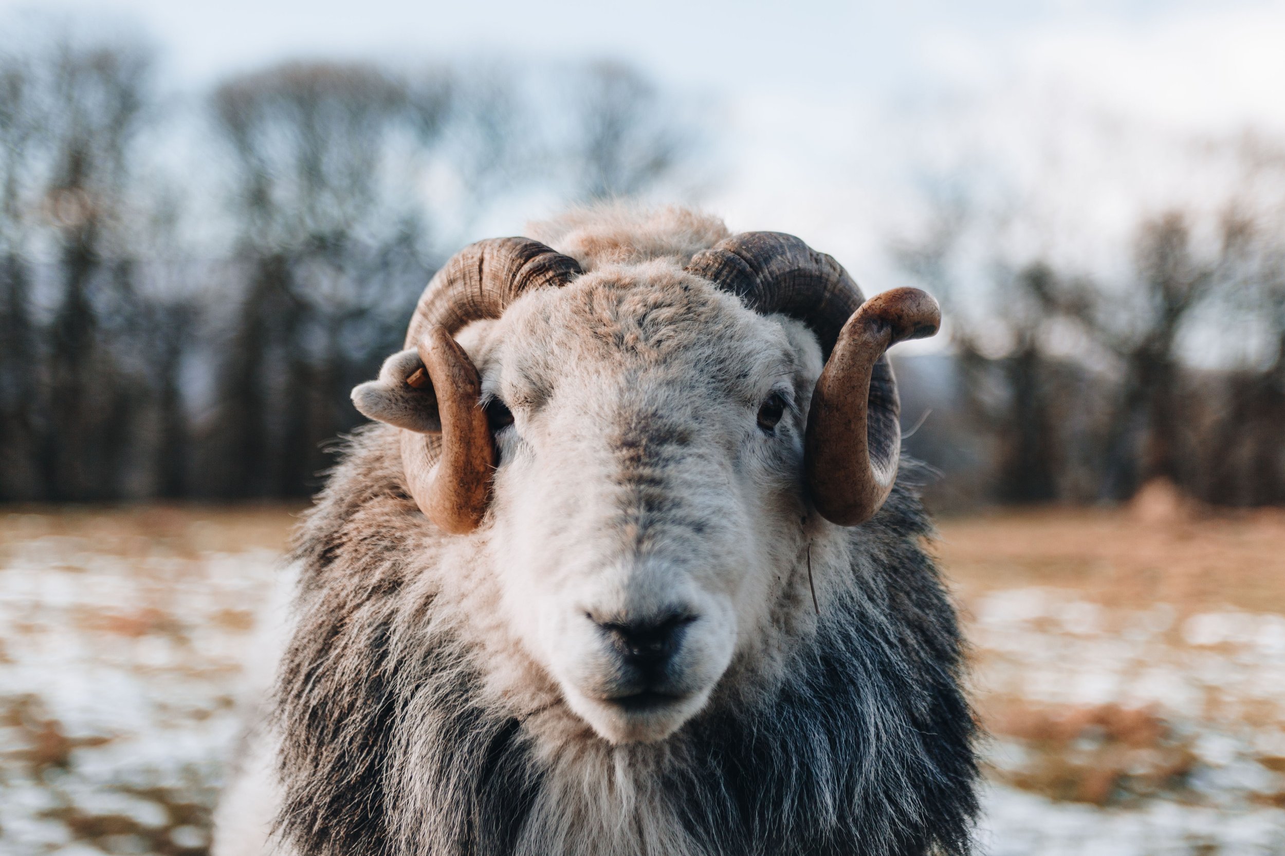 Aries starts the Astrological New Year
